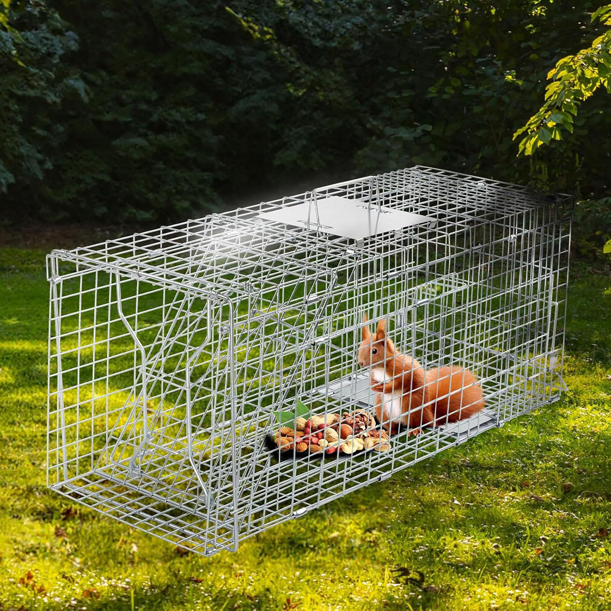 Pièges à Chat - Piège Animalier Vivant - Piège de Capture Animaux sans Cruauté, Pliable, Grand piège à martre pour Chat, Renard, Rat - 79x33x28 cm
