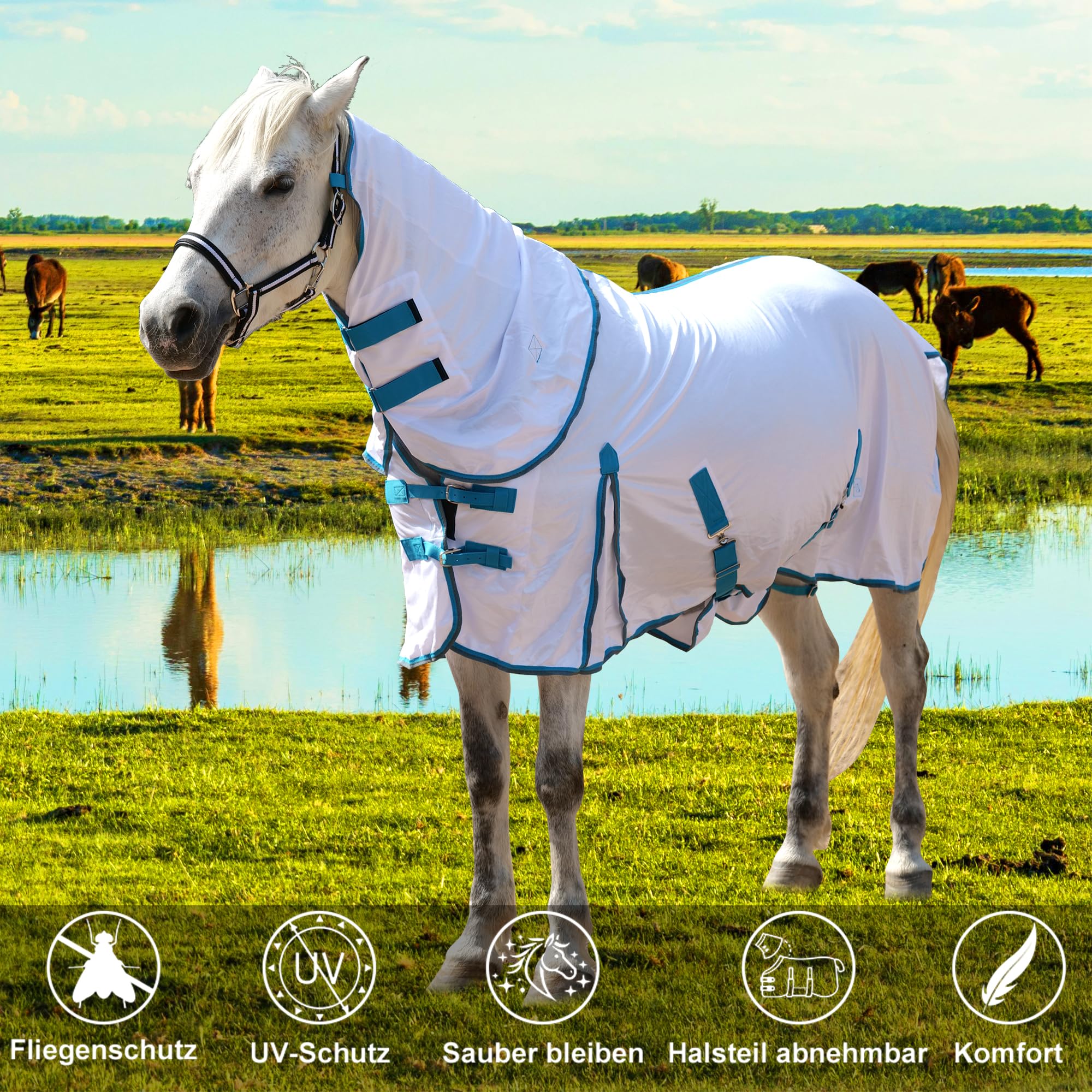 Couverture anti-mouches pour chevaux avec couvre-cou, couverture d'été respirante avec protection UV et protection contre l'abrasion, fermeture de poitrine réglable, sangles ventrales