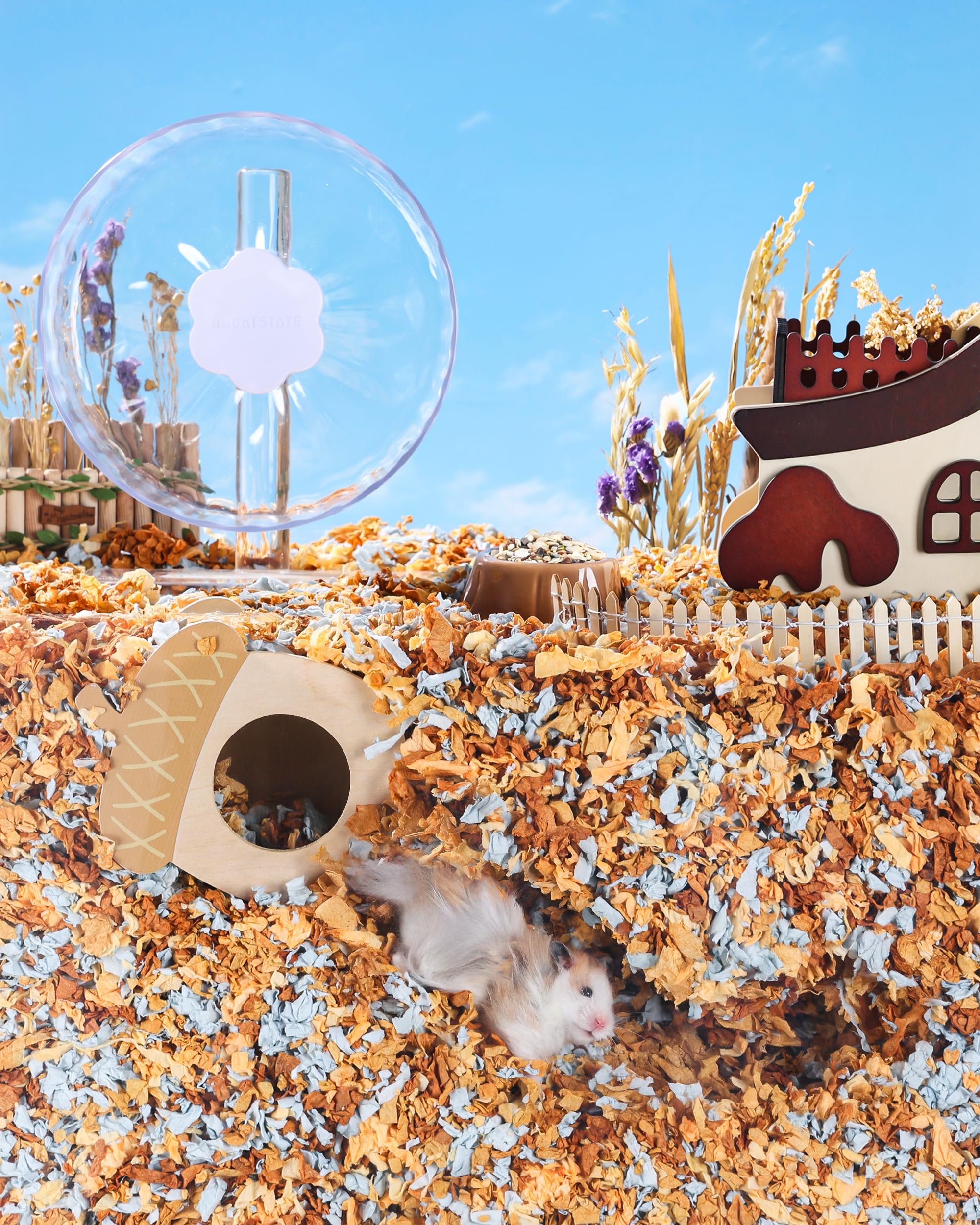 View 7