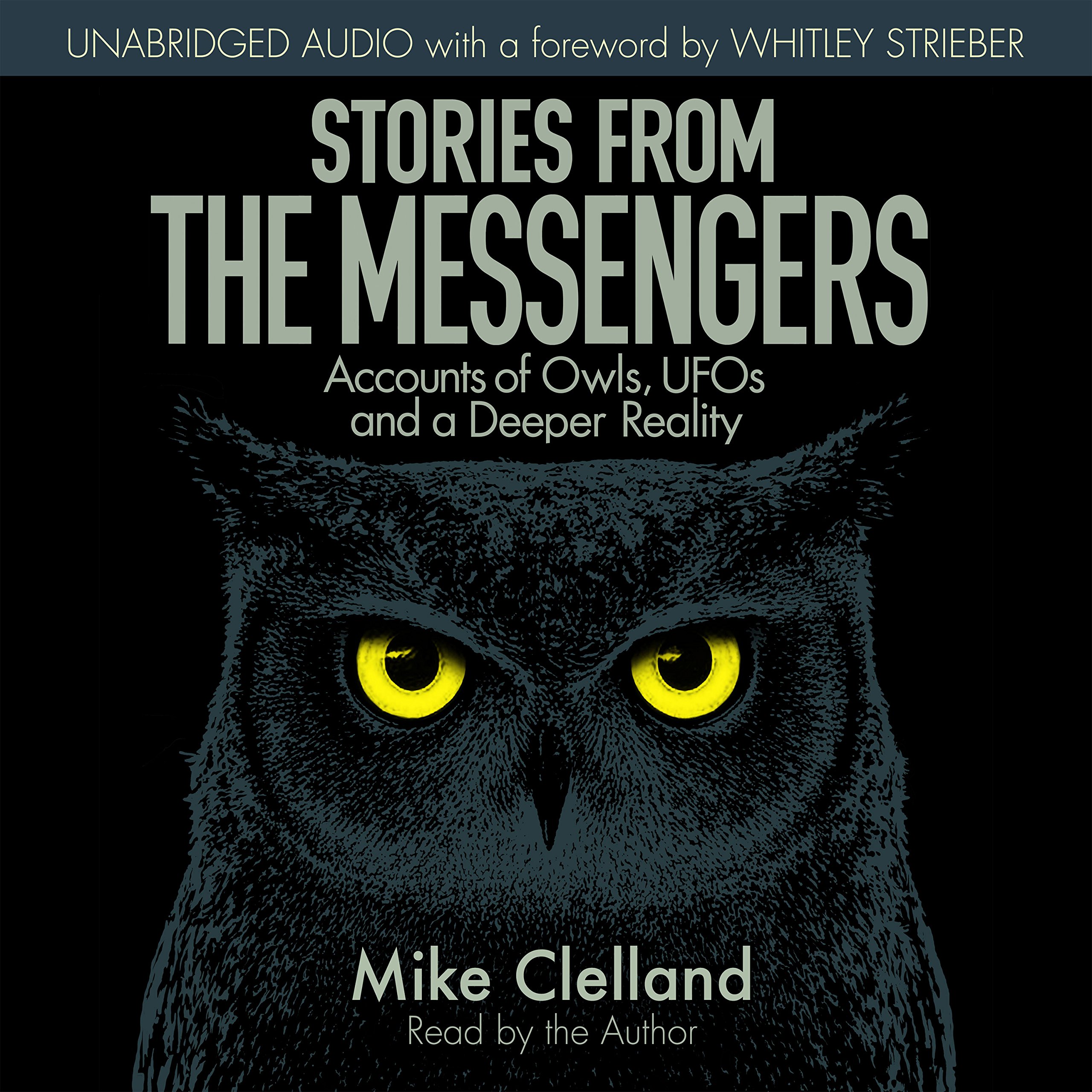 Cover art for Stories from the Messengers