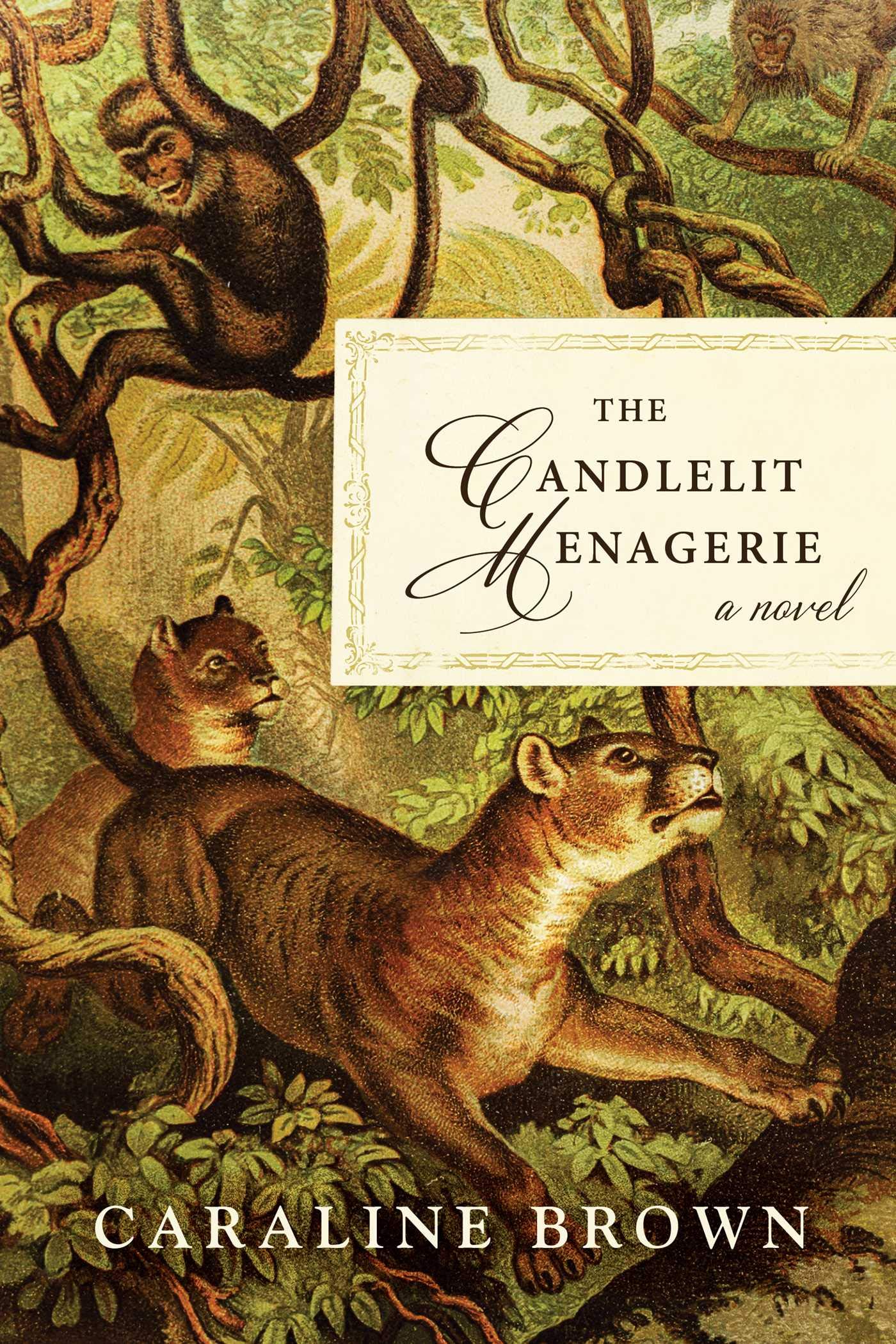 The Candlelit Menagerie by Caraline Brown - 9781950691555