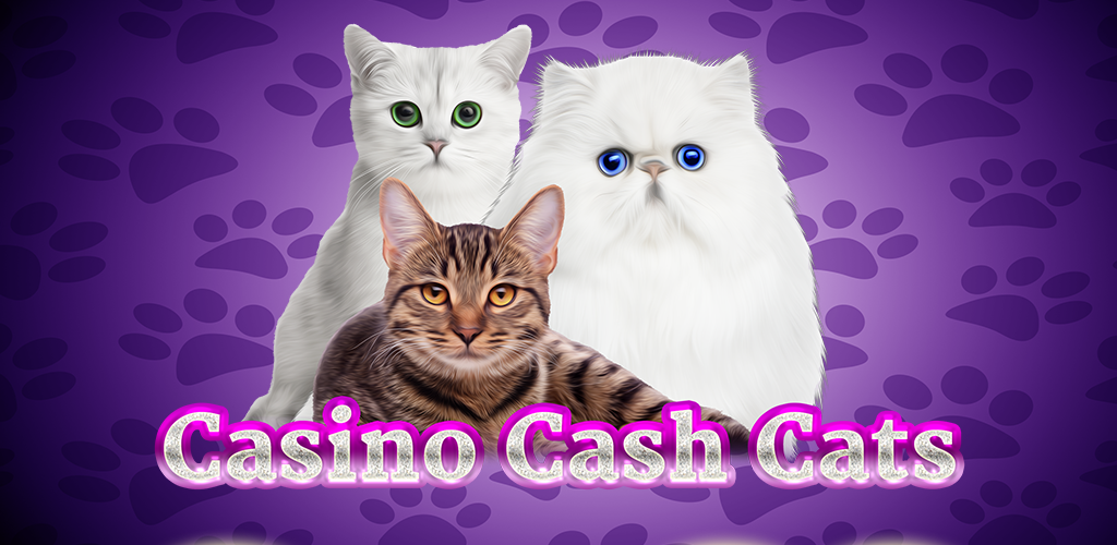 Helpful Kats Casino Betting Tips for Canadians: Play KATS Casino with Confidence