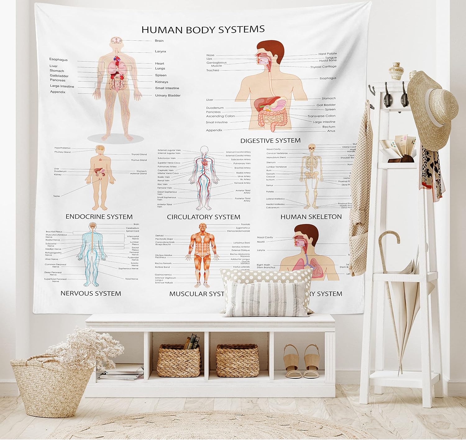 Ambesonne Human Anatomy Tapestry, Chart of Organs Body Structures Biology Themed Cartoon Schemes, Wide Wall Hanging for Bedroom Living Room Dorm, 80" X 60", White and Multicolor