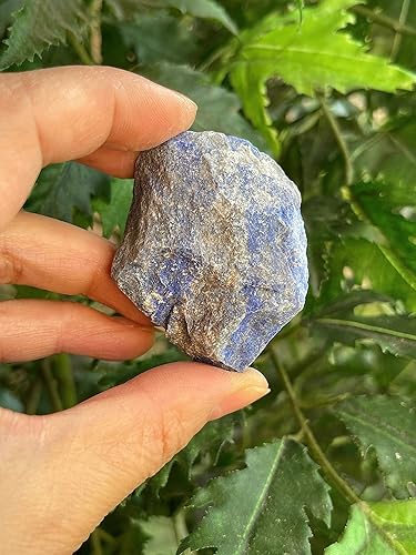 Vista 100 de GAF TREASURES Cristales de rosa del desierto crudos al por mayor, piedra natural de rosa del desierto, cristales naturales de rosa del desierto
