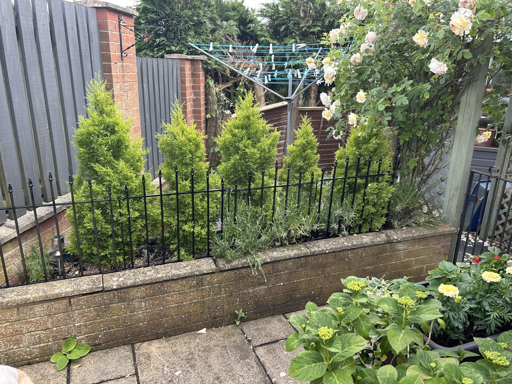 Customer photo