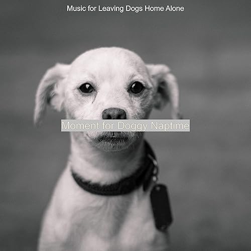 Moment for Doggy Naptime