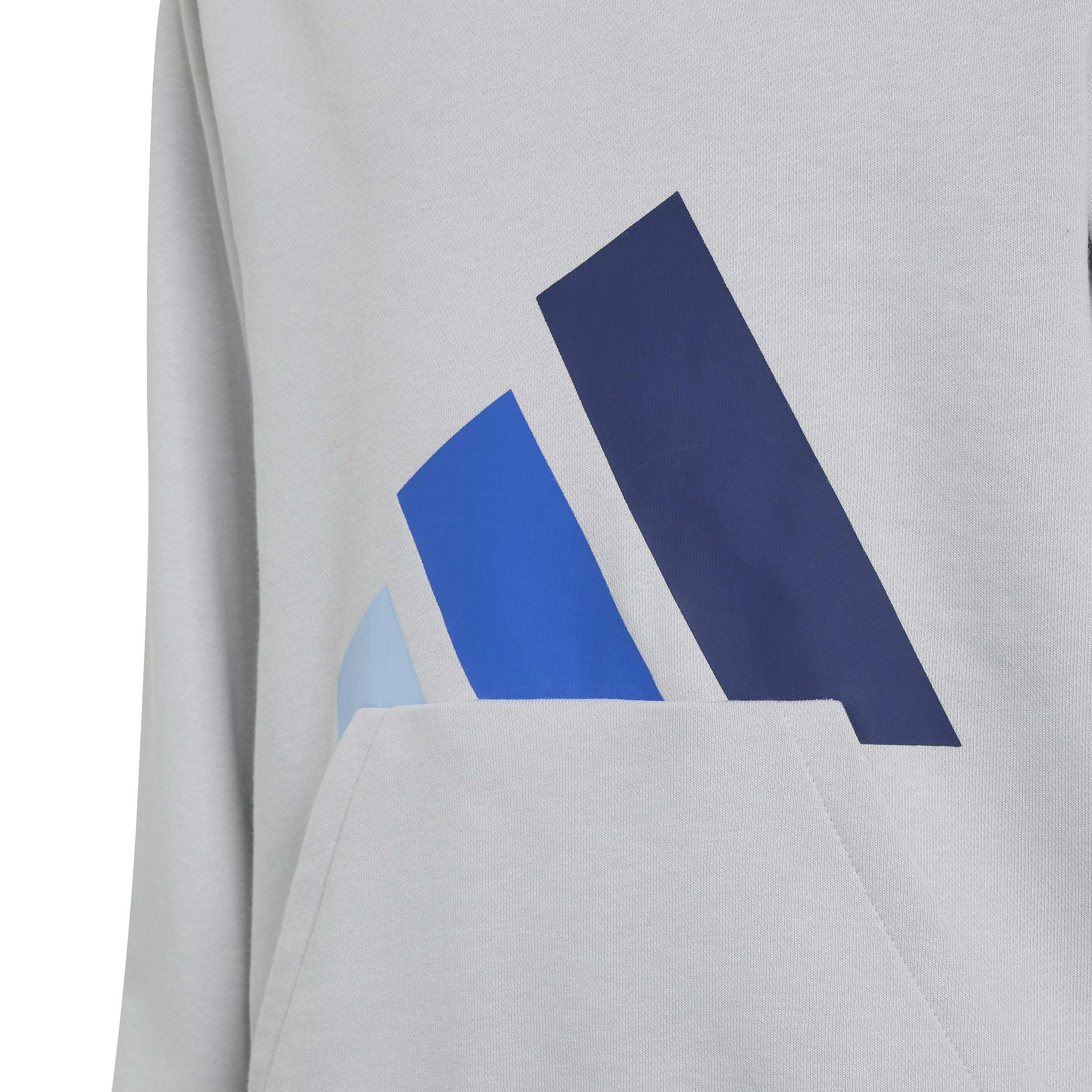 adidas Uniseks - dzieci Essentials Big Logo Hoodie Sweatshirt, lgh solid grey/glow blue/team royal blue/dark blue, 11-12 Years