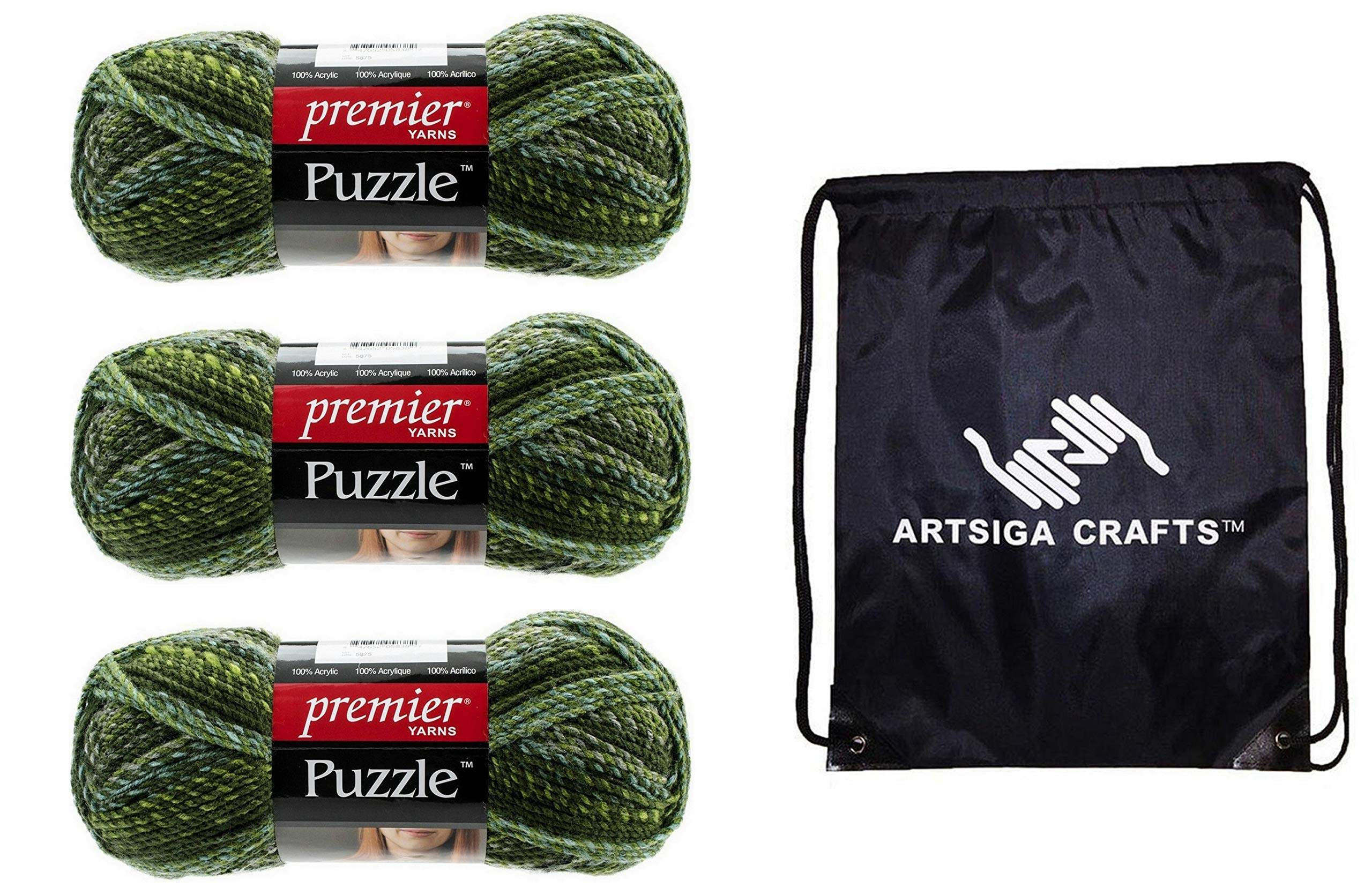 Premier YarnsPuzzle Maze 1050-10 (3-Skeins - Same Dye Lot) Chunky Bulky #5 100% Acrylic Yarn for Crocheting and Knitting with Project Bag