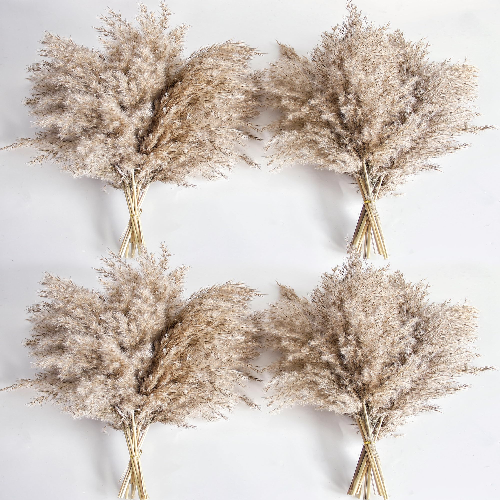 Kocat 40-Piece Pampas Grass Bouquet