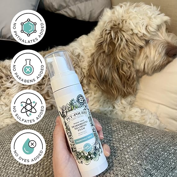 Poo-Pourri Rinse-Free Deodorizing Dry Shampoo for Dogs & Cats, 6 Fl Oz