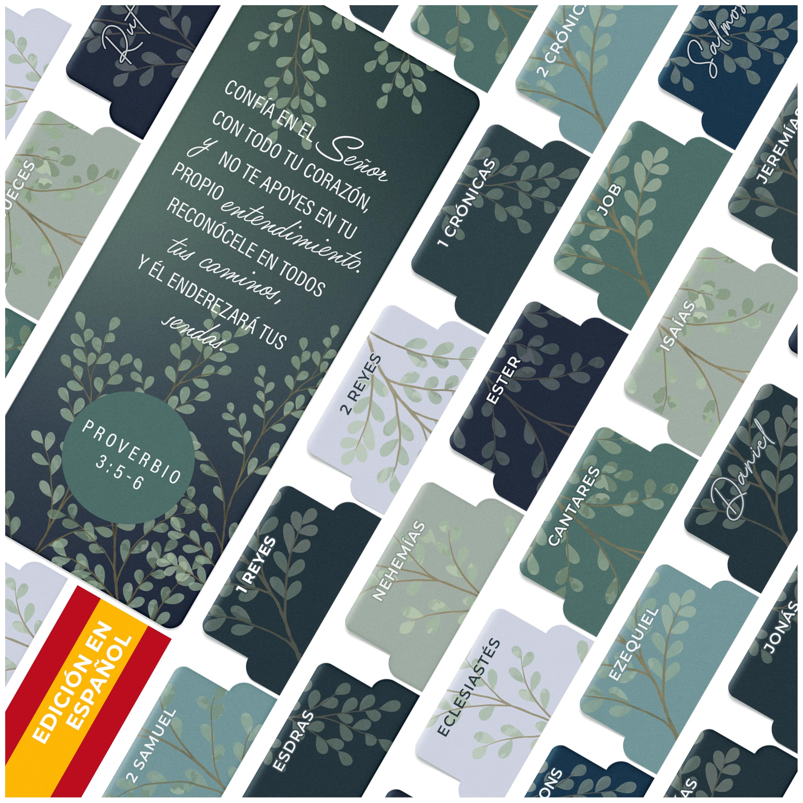 OFFILICIOUS Spanish Catholic Bible Tabs Green for Holy Bible - Bible Study Supplies for Biblia Católica En Español, Study Bible with Bibles Tabs -
