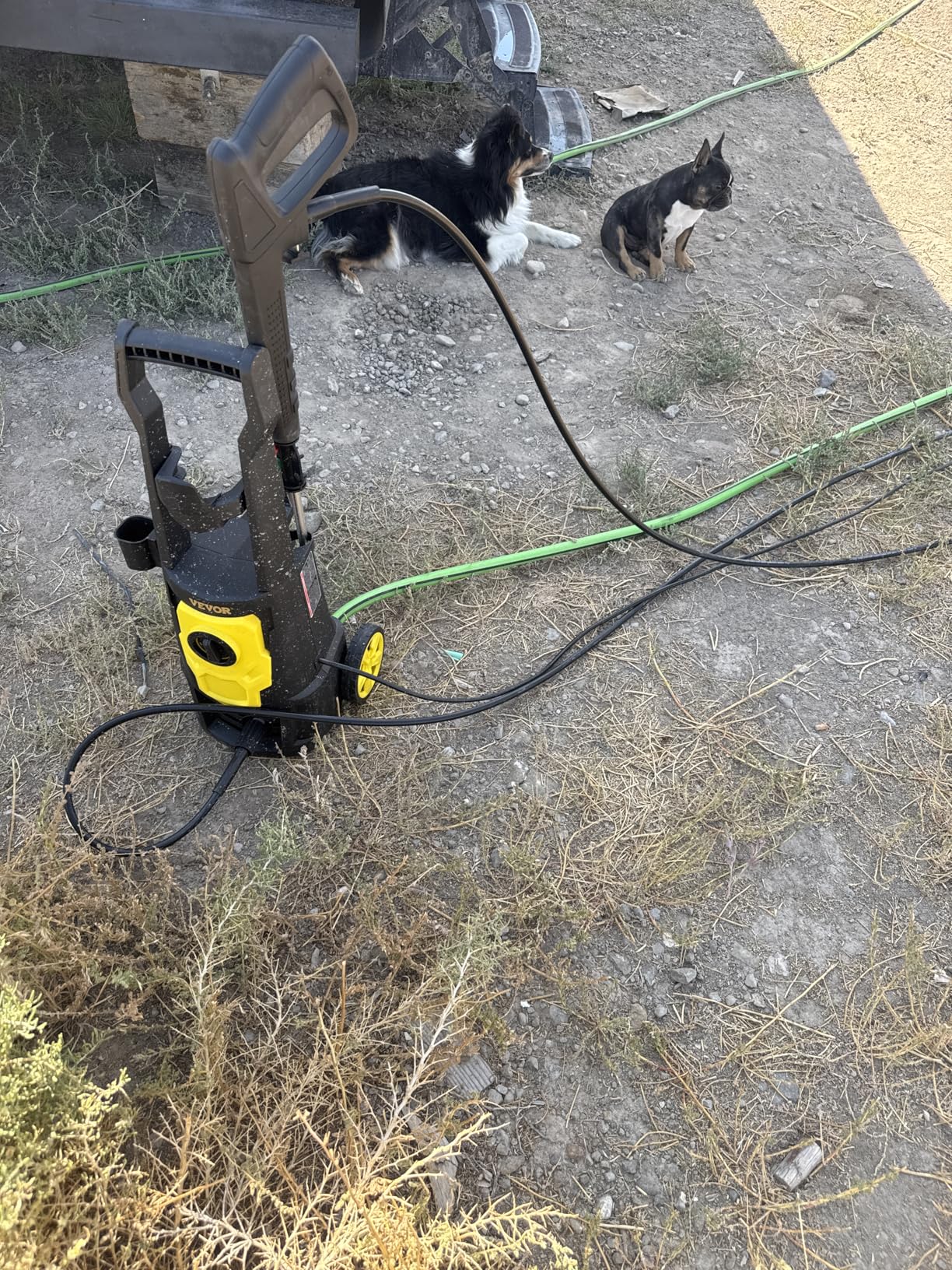 Customer Image