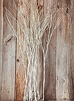 Vista 4 de 10 piezas de ramas de sauce rizado realistas para jarrones altos, ramas artificiales, ramitas flexibles, 78 cm de ramas falsas, flores secas, tallos