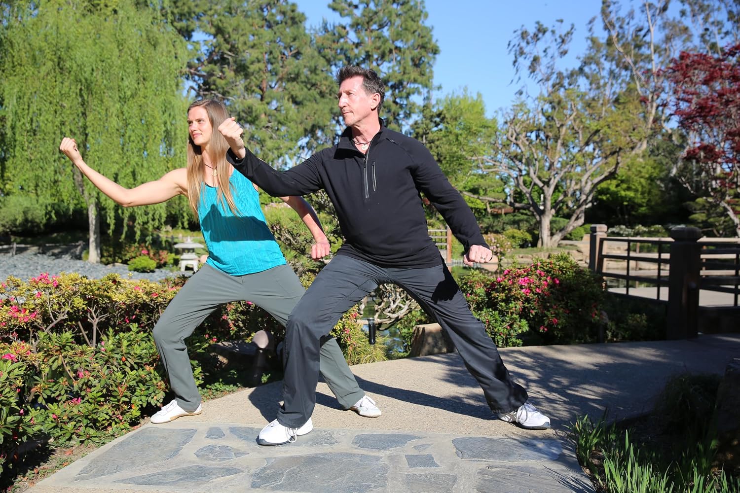 Bundle: Tai Chi Fit 2-DVD set - Flow/Strength with David-Dorian Ross Perfect Tai Chi DVD for beginners, seniors, health and healing. Improve balance, feel stronger, learn tai chi. image 2