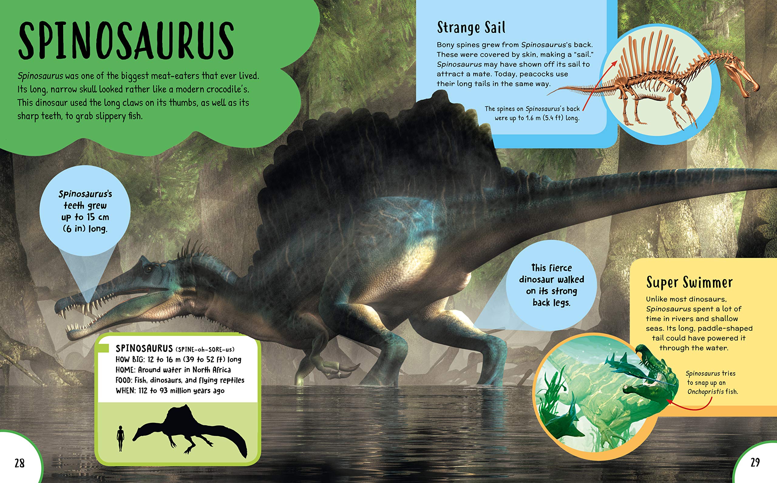 Children's First Encyclopedia: Discover an Amazing World of Knowledge