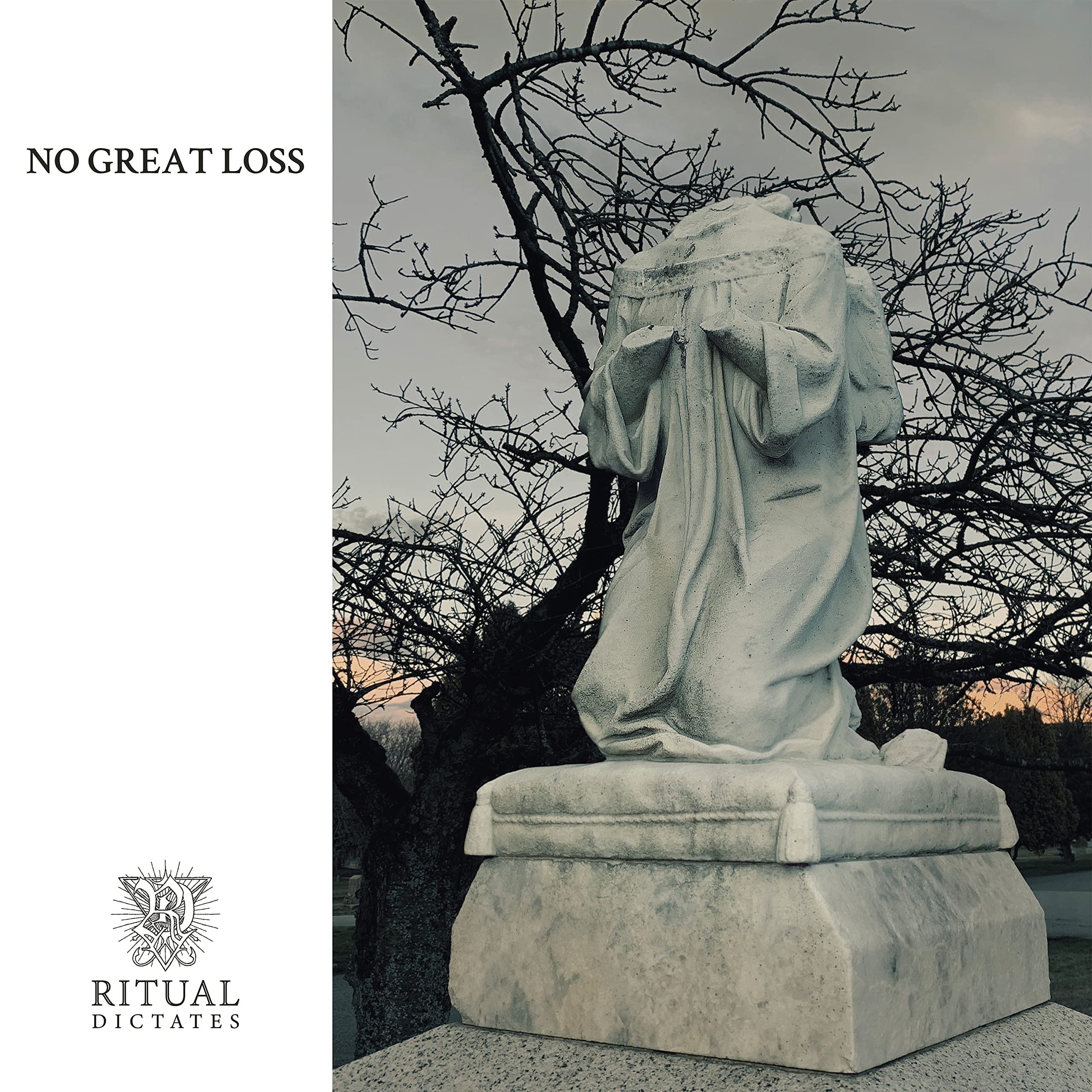 No Great Loss [VINYL]