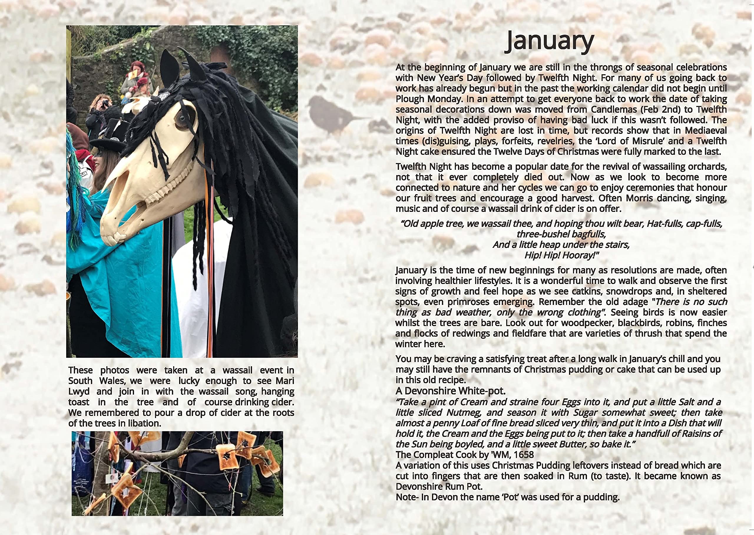 A Country Stroll 2026 Charity Wall Calendar | Barnardo's Online Charity
