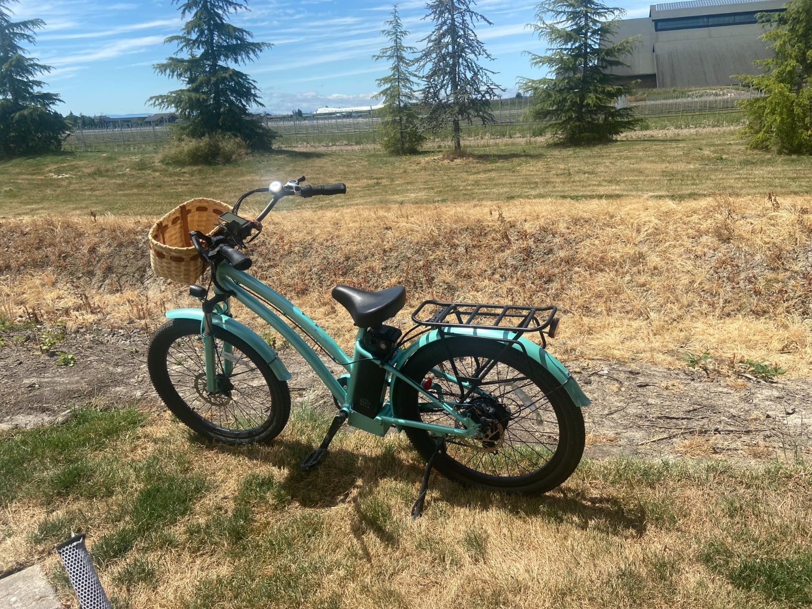 electric motor for beach cruiser