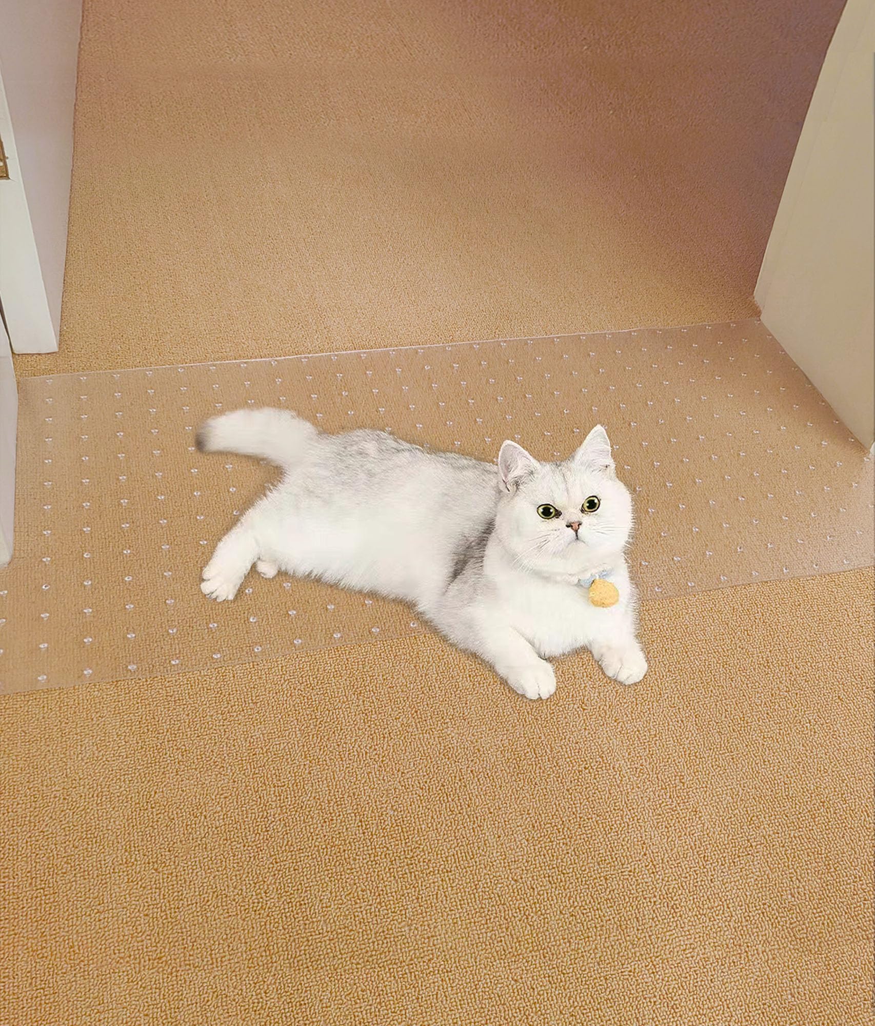 8.2Ft Cat Carpet Protector for Doorway Anti Scratch
