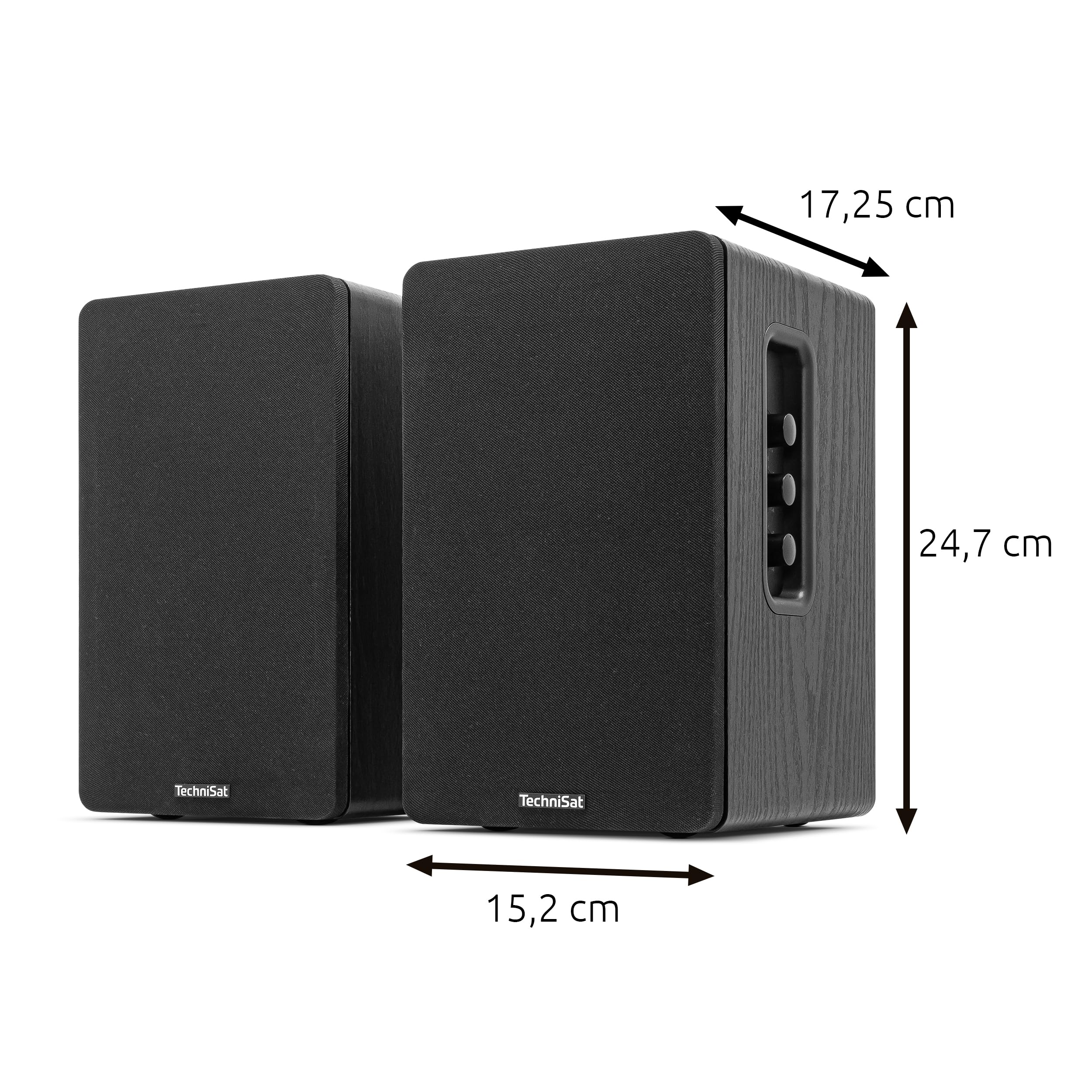 TechniSat AUDIOMASTER RLS 1 - Aktive 2.0 Regallautsprecher