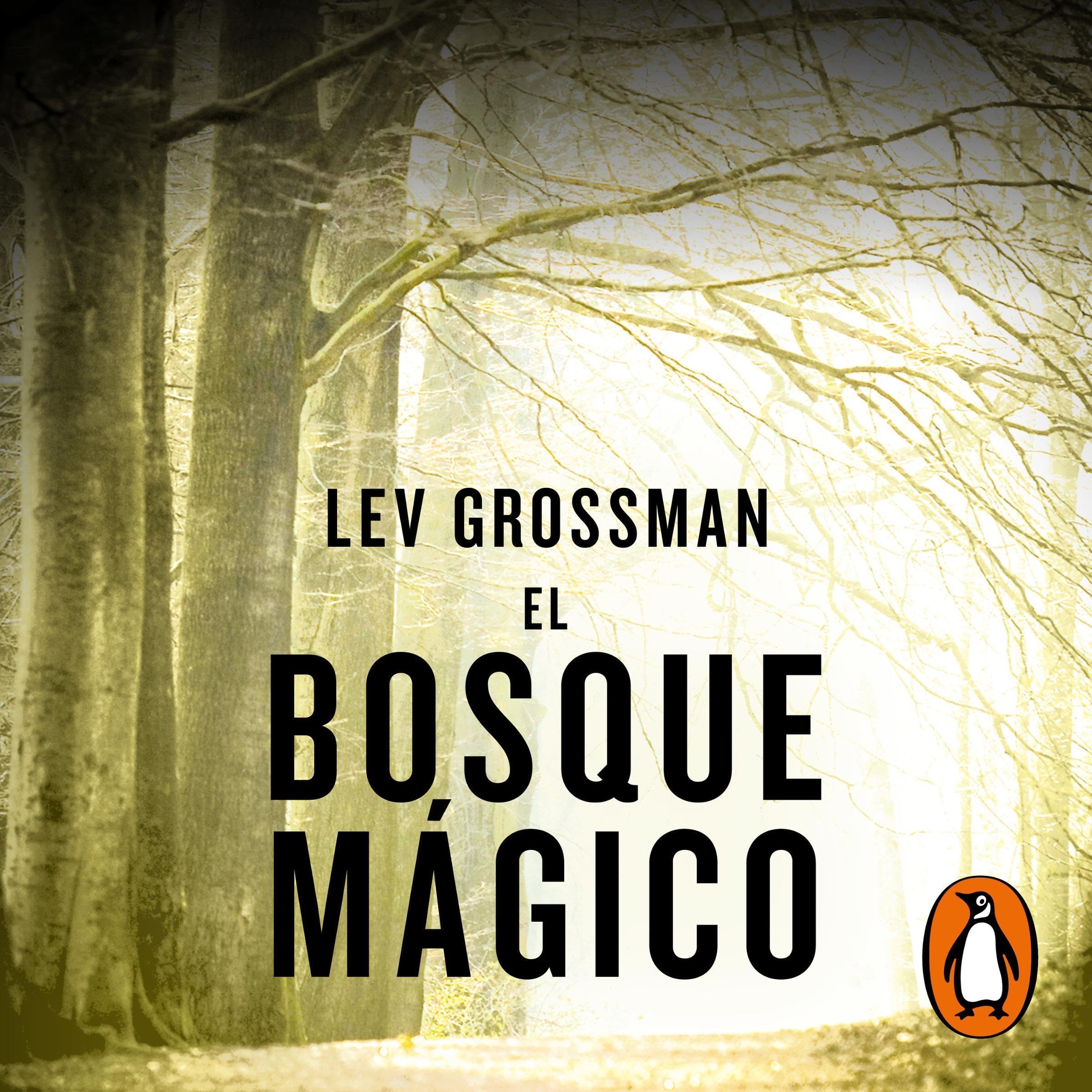 Cover art for El bosque mágico [The Magician King]