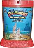 Amazon | [ビッグ・タイムトイ]Big Time Toys Sea Monkeys Ocean