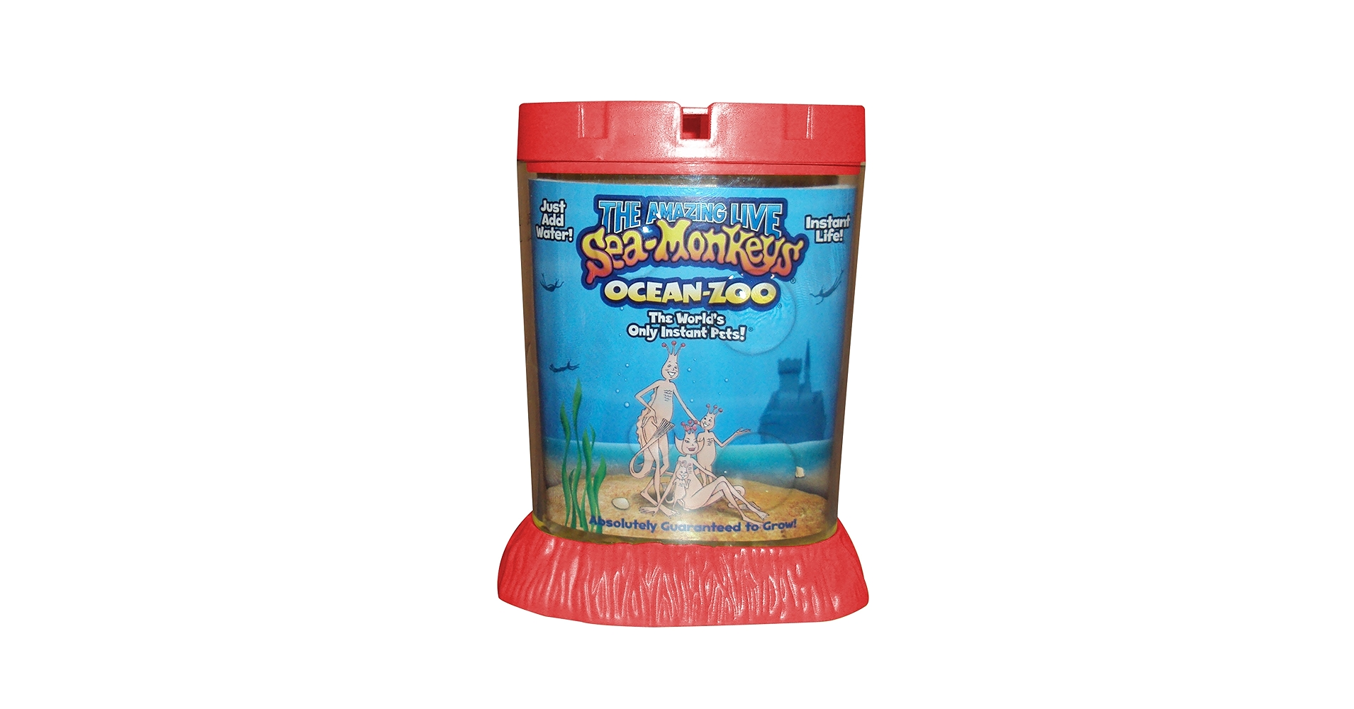 Amazon.com: Big Time Toys Sea Monkeys Ocean Zoo Deluxe Kit