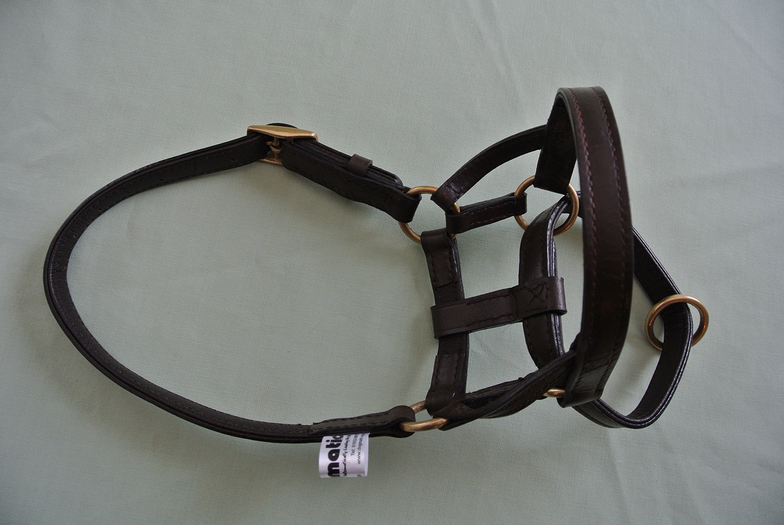 Dogmatic leather headcollar best sale