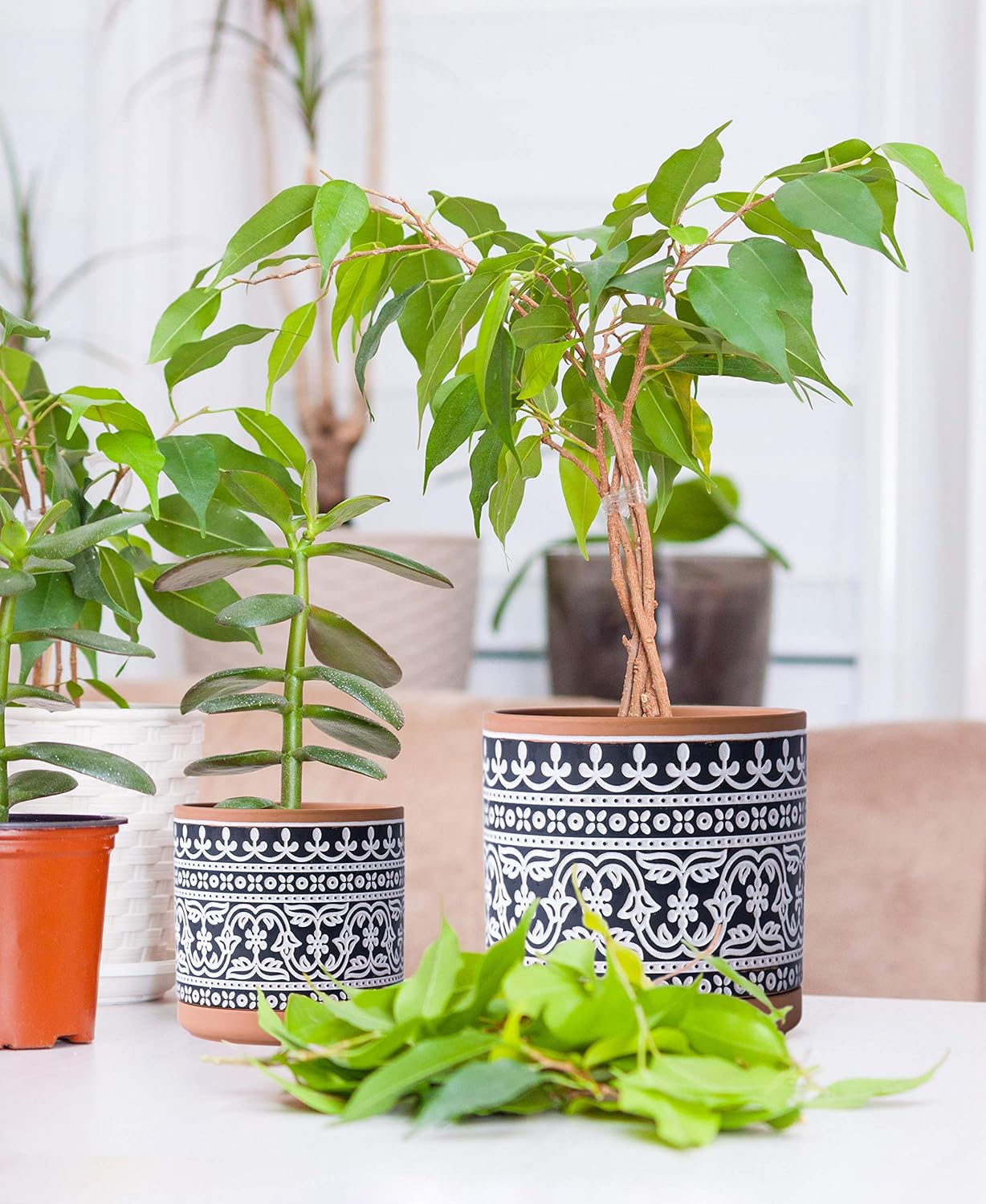 D'vine Dev Set of 2 Terracotta Pots, Wave Pattern Planter Pot, 4 Inch and 6 Inch, Pot with Drainage Hole and Saucer, Terracotta/Black, 31-958-F-2