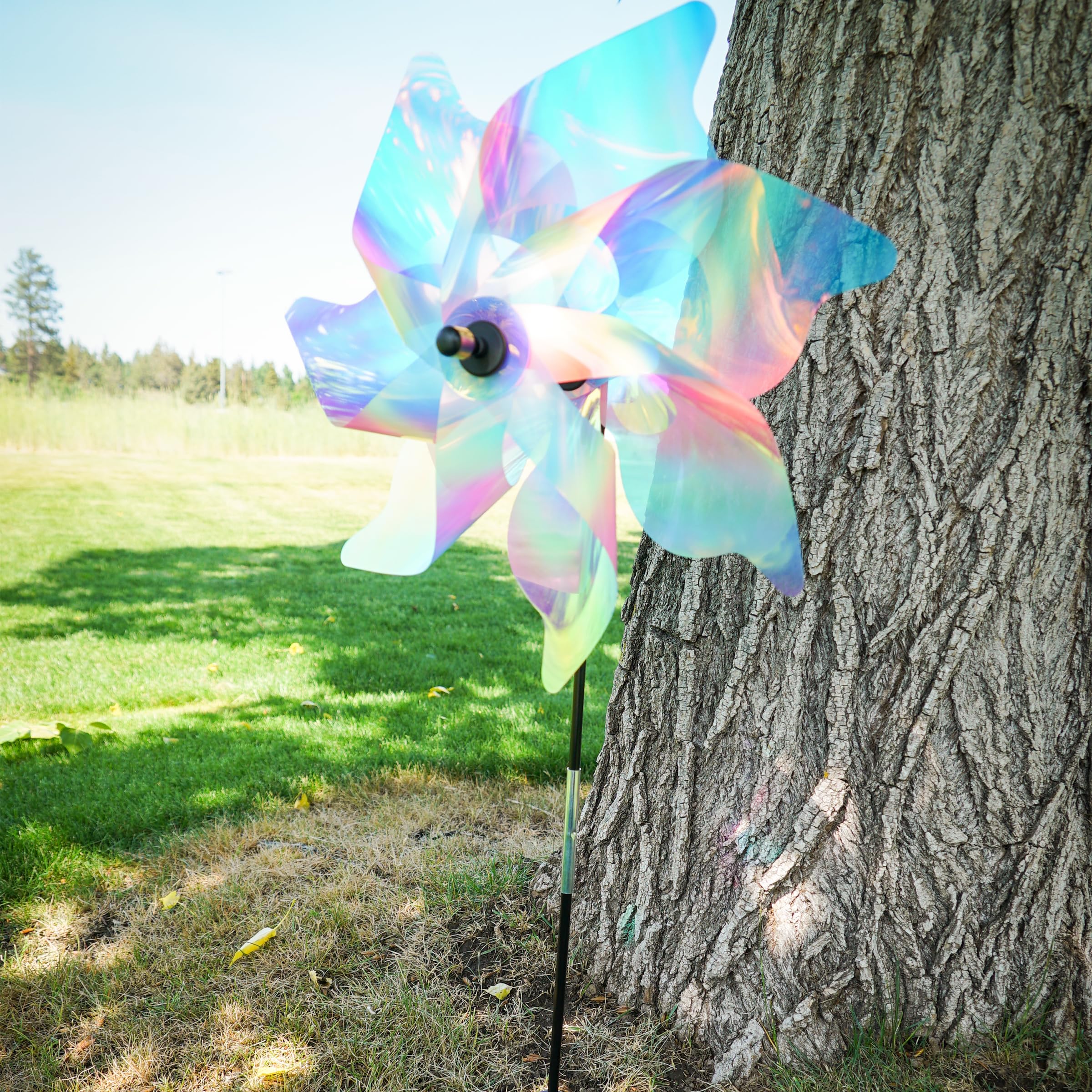 Amazon.com: In the Breeze 2622 — 18-inch Striped Iridescent