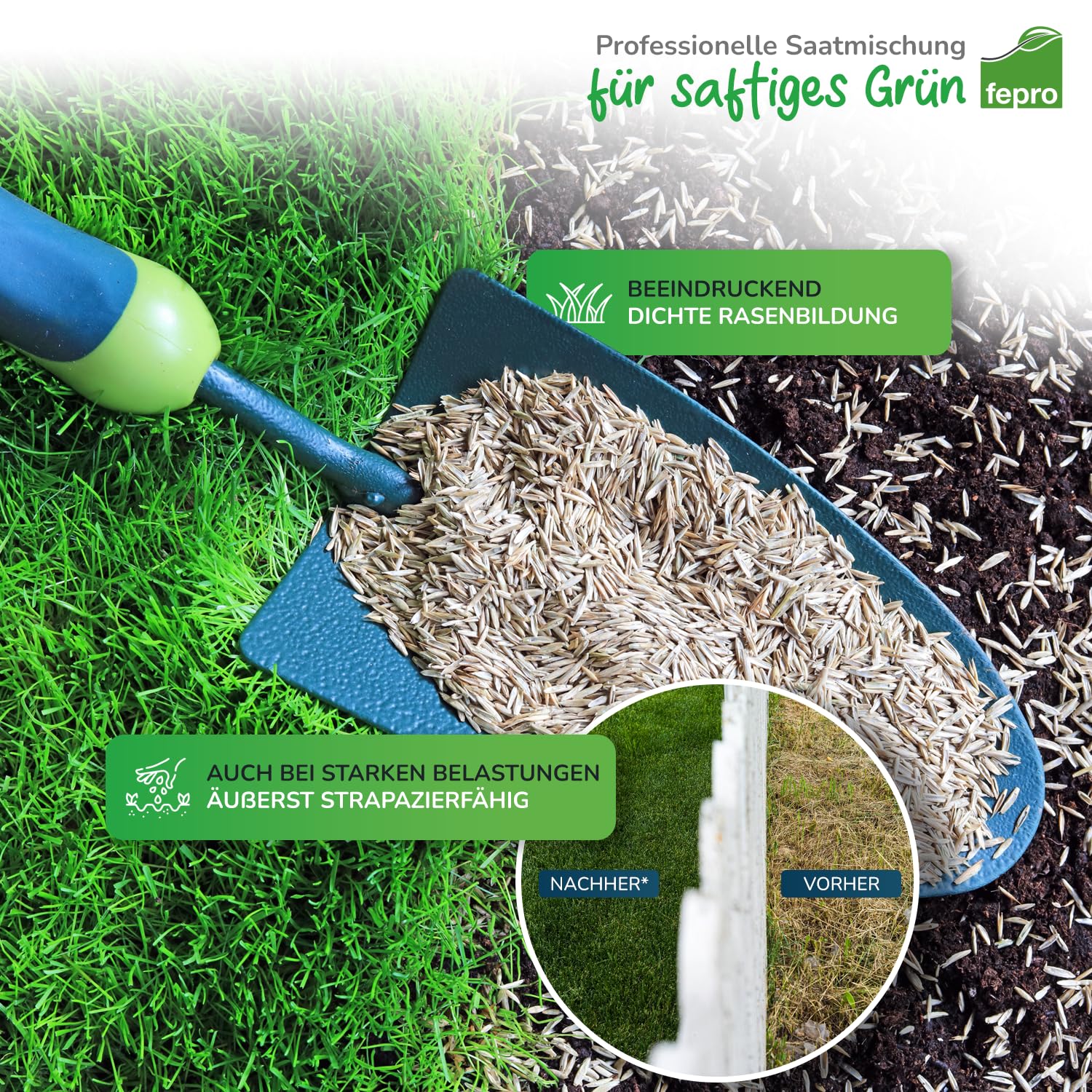1kg Rasensamen Sport und Spiel schnellkeimend 40m², robust, tiefgrün, ideal für Neuansaat und Nachsaat, Rasensaat Grassamen Frühjahr