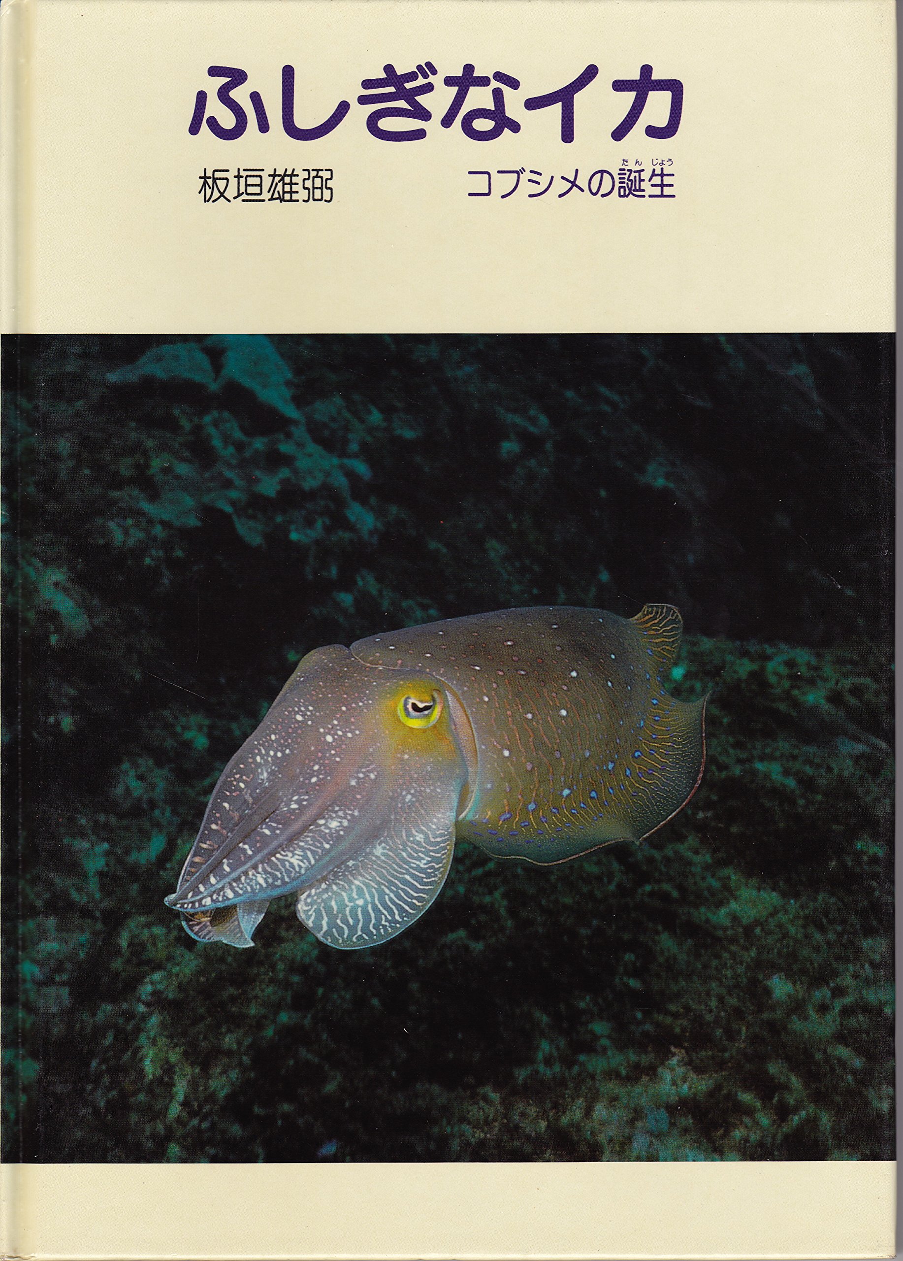 ふしぎなイカ コブシメの誕生 写真動物記 板垣 雄弼 本 通販 Amazon ふしぎなイカ コブシメの誕生 写真動物記 板垣 雄弼 本 通販 Amazon