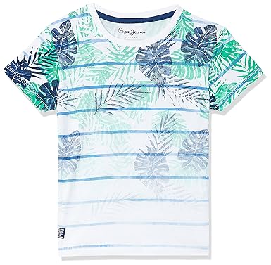 Pepe Jeans Boys Regular fit T-Shirt