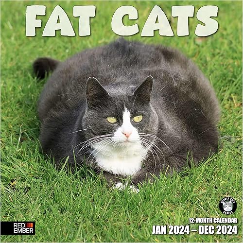 RED EMBER Fat Cats - Calendario de pared mensual colgante 2024  12 x 24 pulgadas abierto  Papel grueso y resistente  Regalo  Lindo gatito divertido