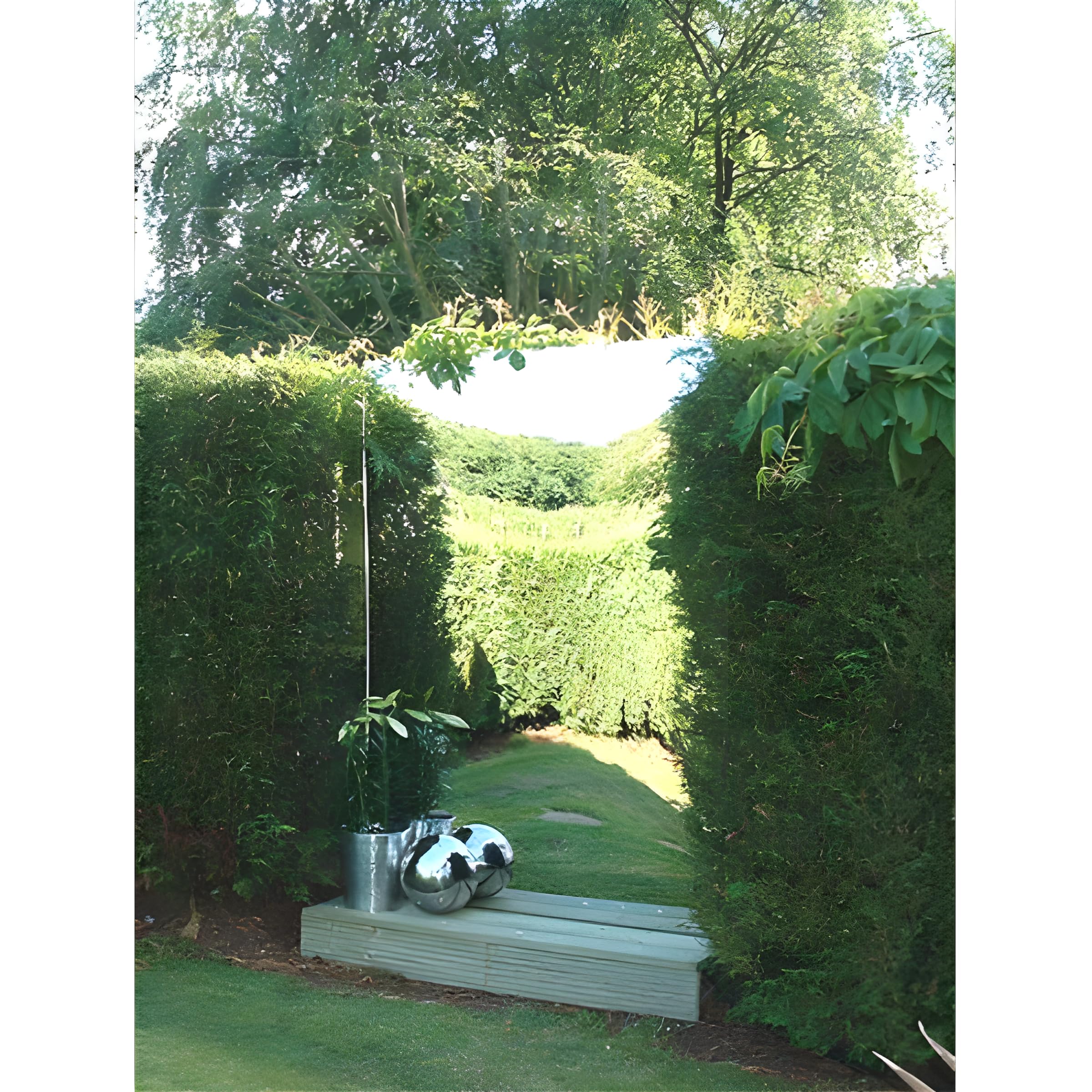 Primrose Reflect Acrylic Garden Outdoor Shatterproof Mirror Sheet Small Rectangle 3ft x 1ft 5