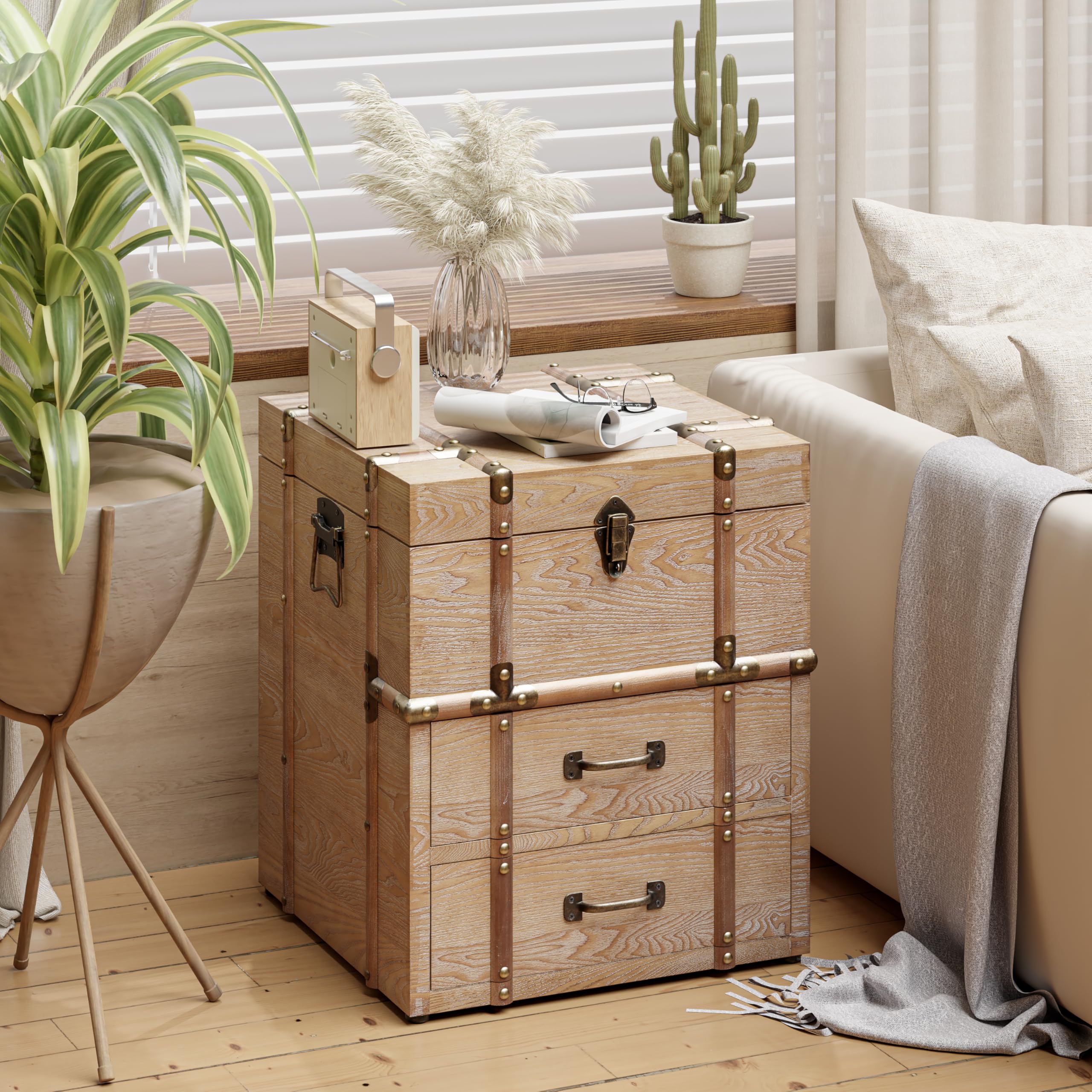 Aoikax Vintage Storage Chest