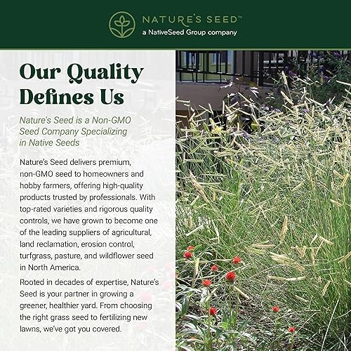 Miniatura 6 de Blue Grama (1 libra)