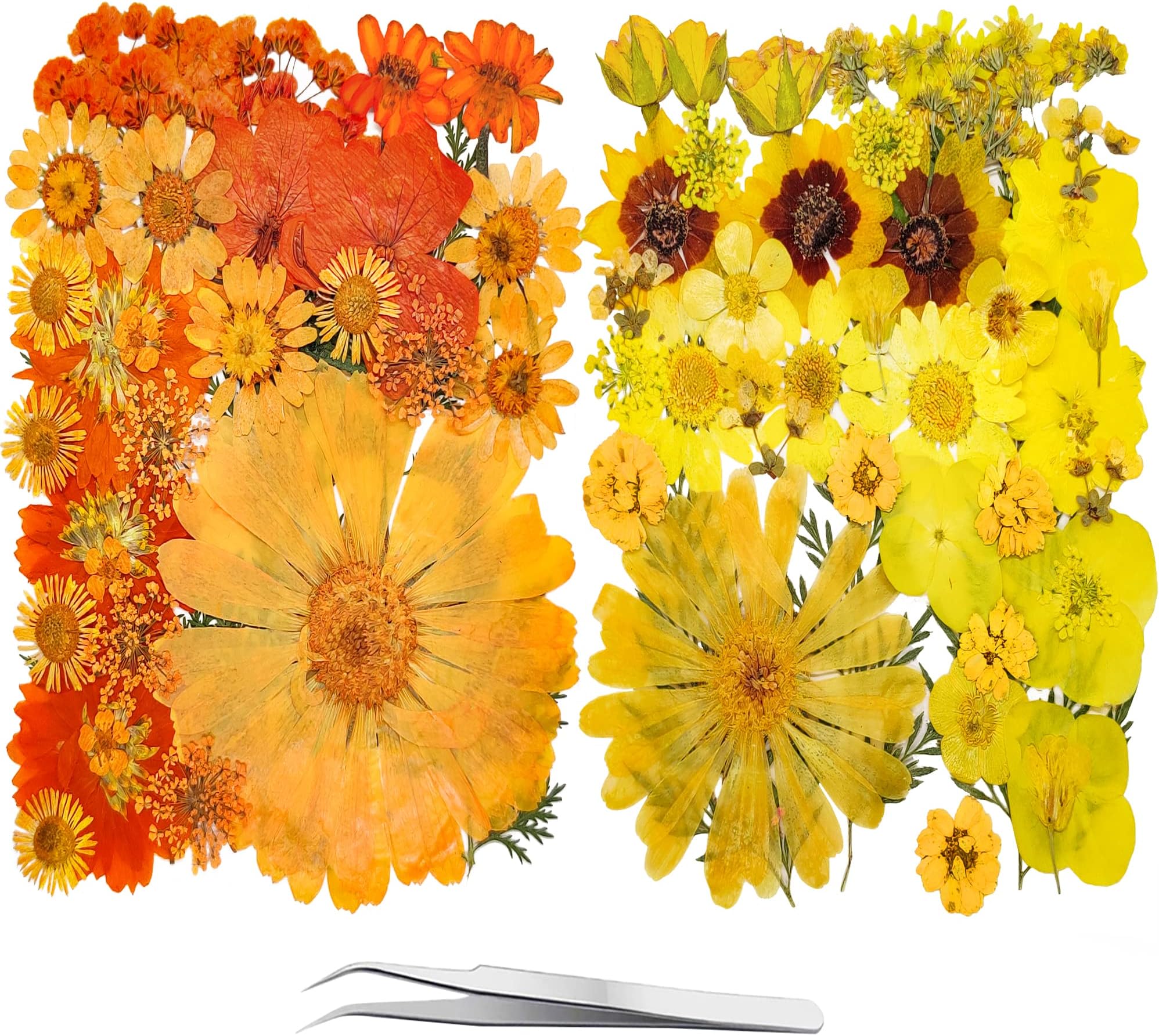 81PCS Orange Yellow Dried Pressed Flowers for Resin - Youthbro Real Nature Flowers Herb Set for DIY Jewelry Candle Soap Vase Making Nail Card Scrapbook Art Craft Floral Decors