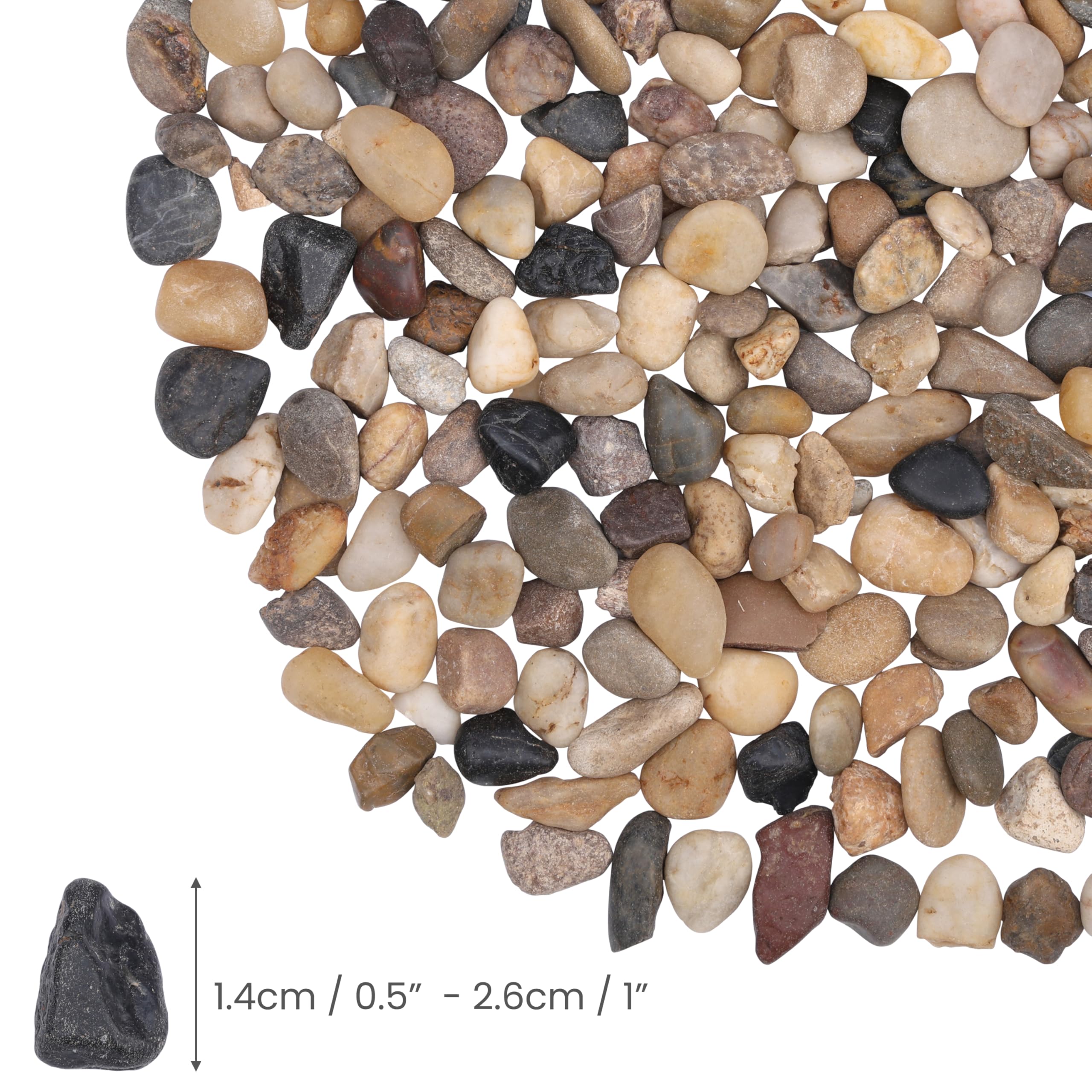 BELLE VOUS Sassolini Decorativi per Vasi (Sacchetto da 3,6 kg) - Ghiaia per Giardino Assortita da 1,4-2,6 cm - Sassi Acquario, Vasi di Piante, Paesaggistica, Casa e Giardino