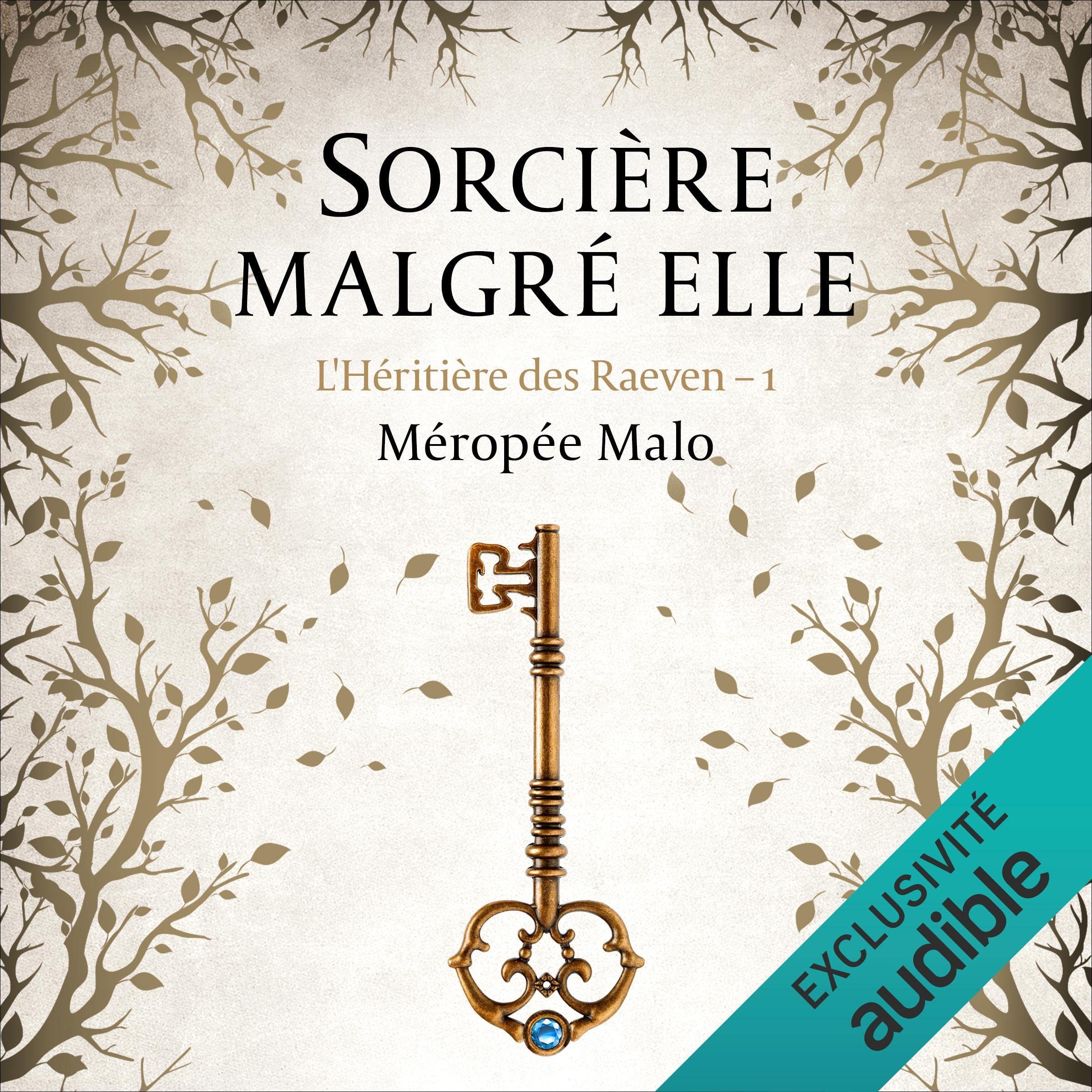 Cover art for Sorcière malgré elle