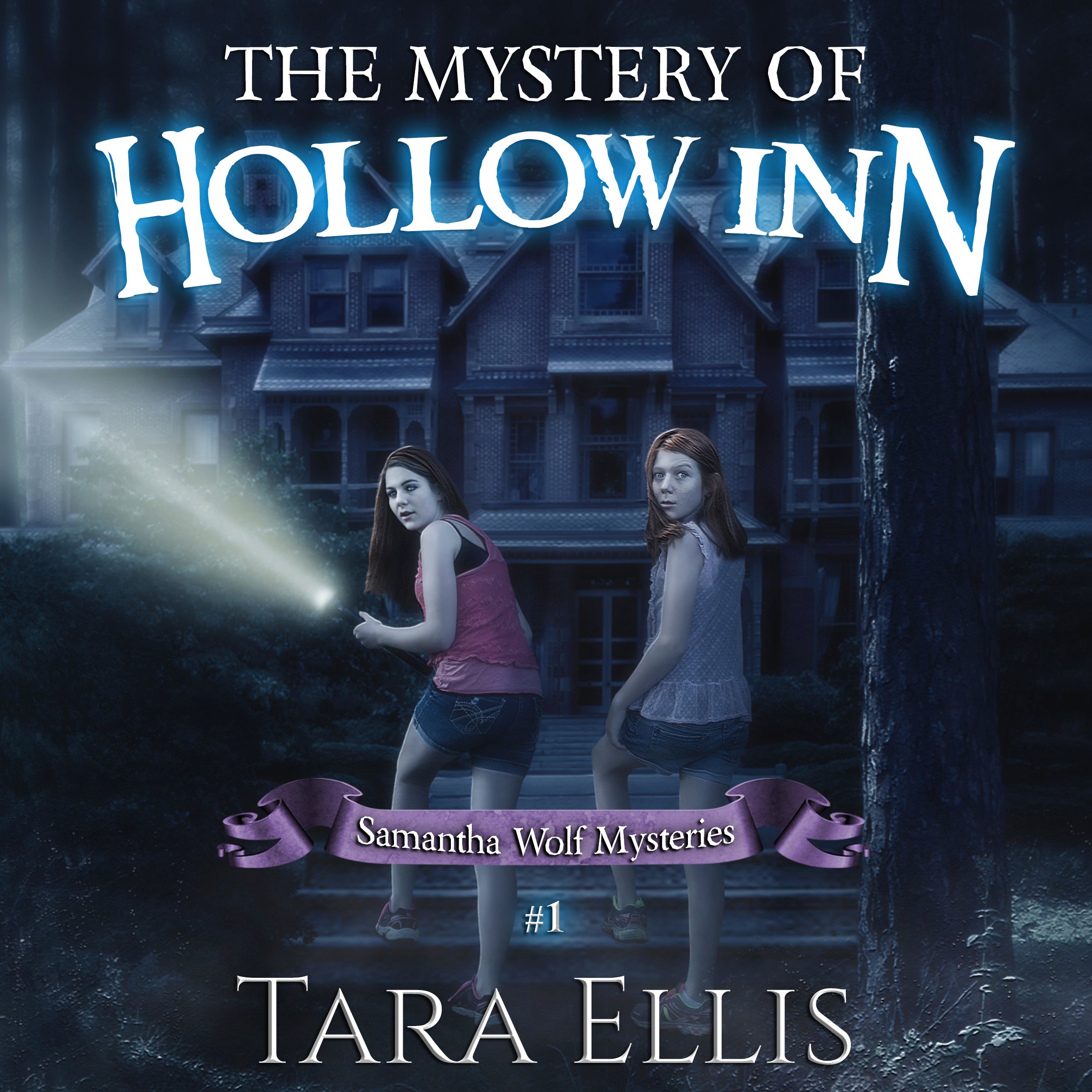 Cover art for The Mystery of Hollow Inn