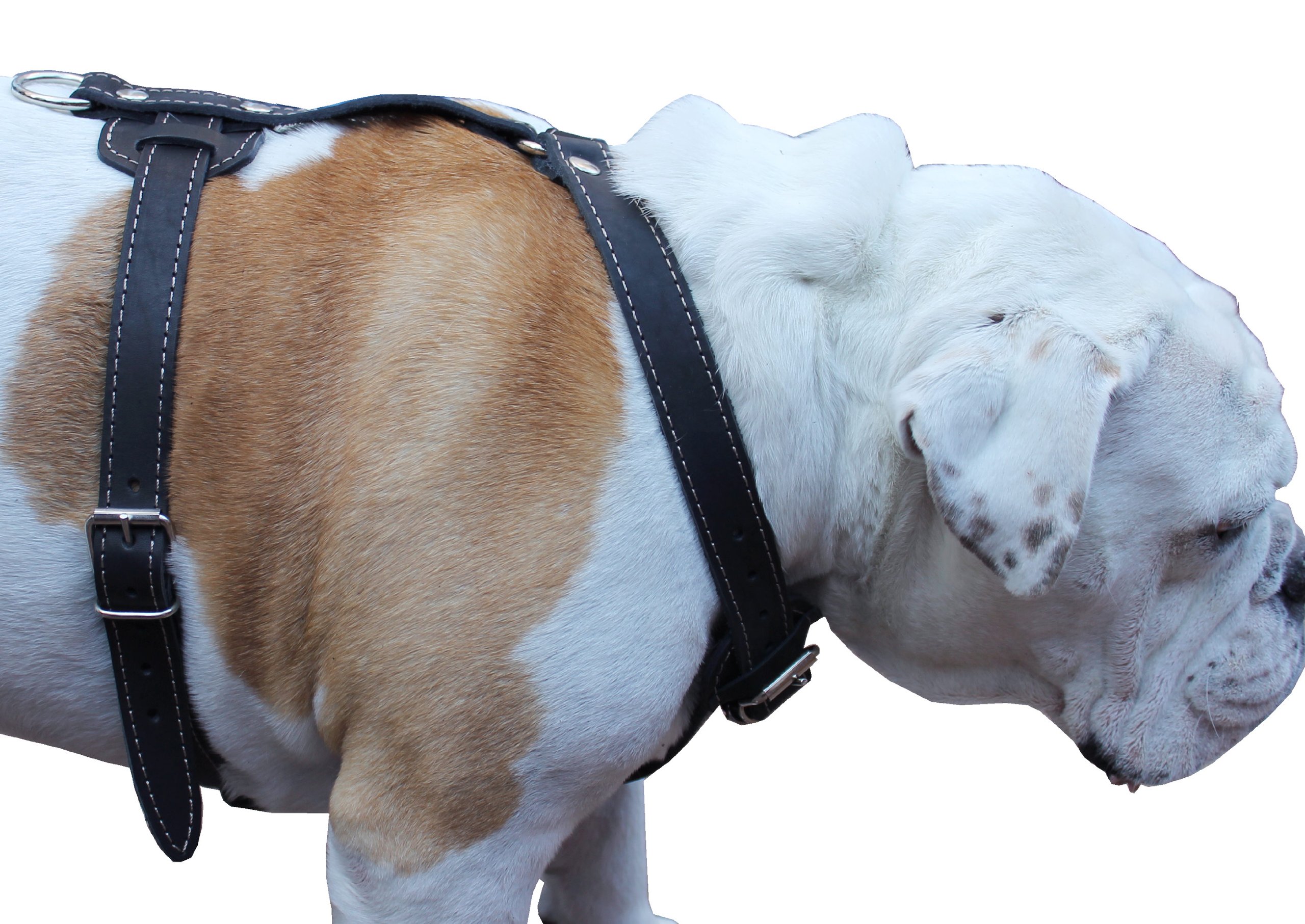 The Worthy Dog Sidekick Padded Hot Pink Plaid Pattern with Secure Back Buckle, Adjustable Velcro, and D Rings for Leash - Puppy Doggy Outdoor Walking Vest Accessory - Large