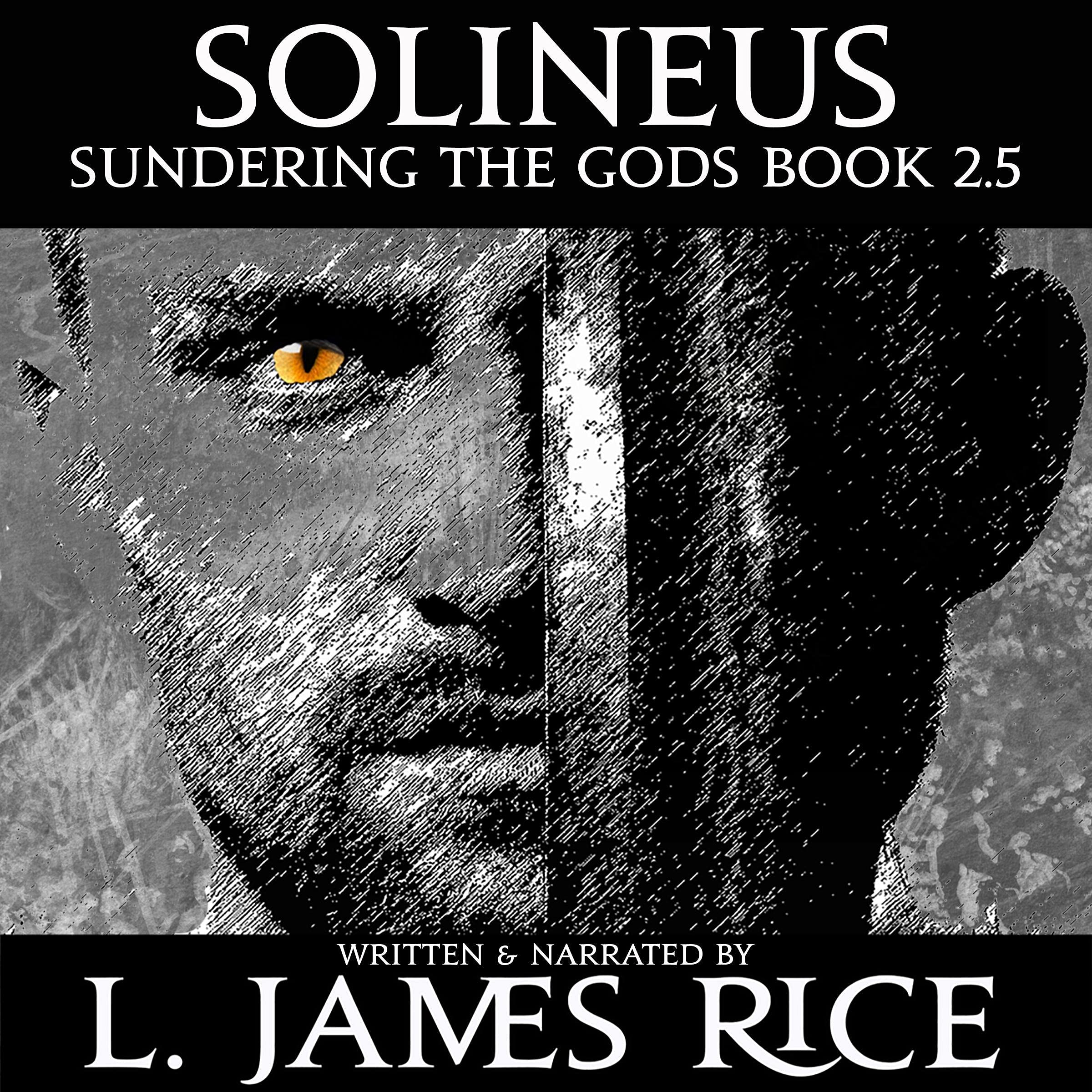 Cover art for Solineus