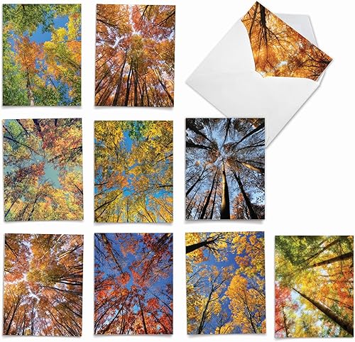 Miniatura 1 de The Best Card Company Juego de 10 tarjetas de agradecimiento surtidas de 4 x 5.12 pulgadas con sobres (10 diseños, 1 de cada uno) en la parte