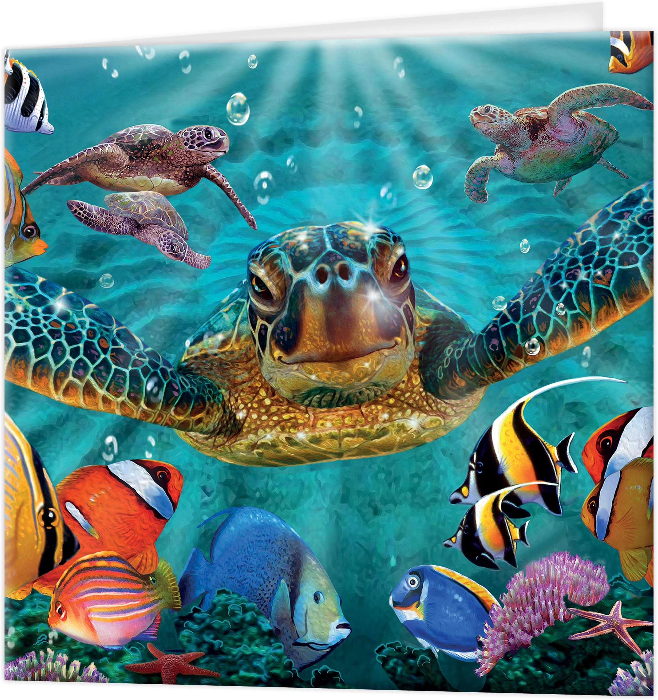 3D LiveLife Greeting Card