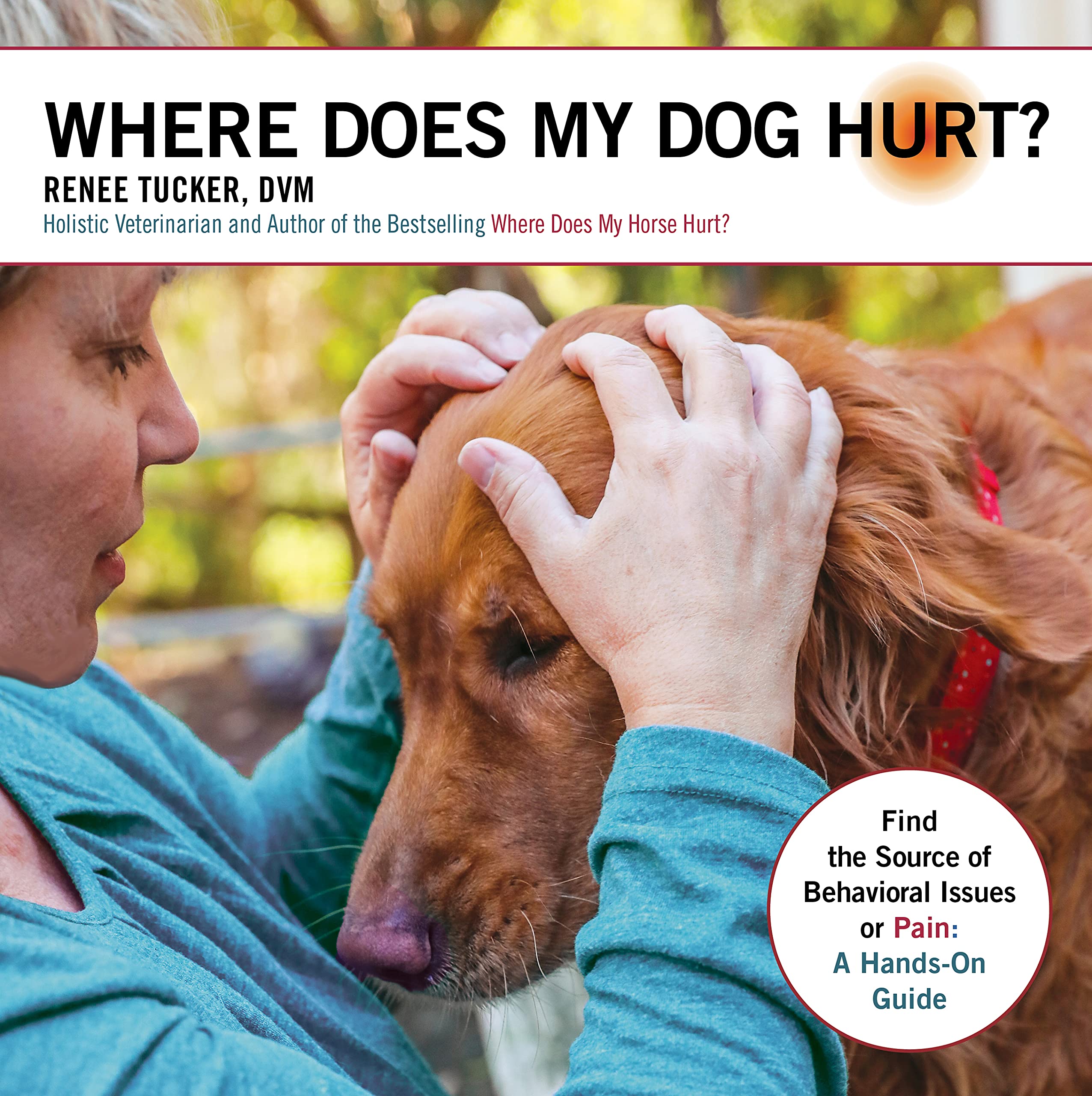 How Do You Know Your Dog Is In Pain