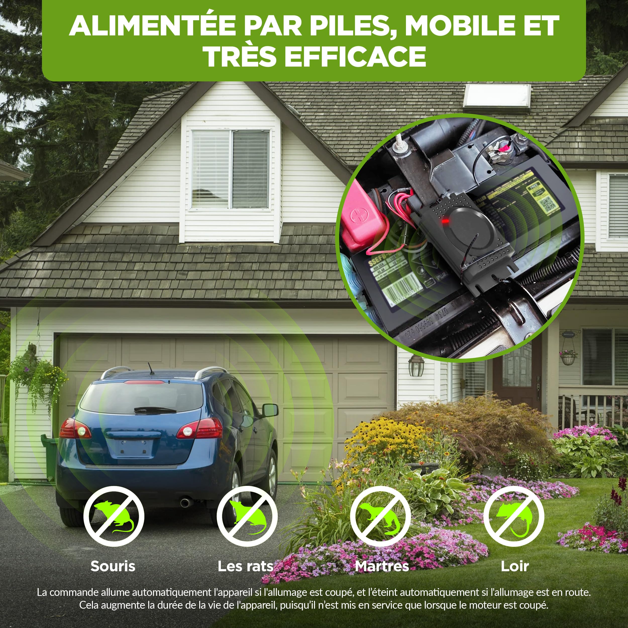 ISOTRONIC Répulsif Contre Les Martres, Souris et Les Rats avec Batterie 12V - Répulsif chassant pour Protection Voiture à Ultrason - Installation Facile et Effet Durable