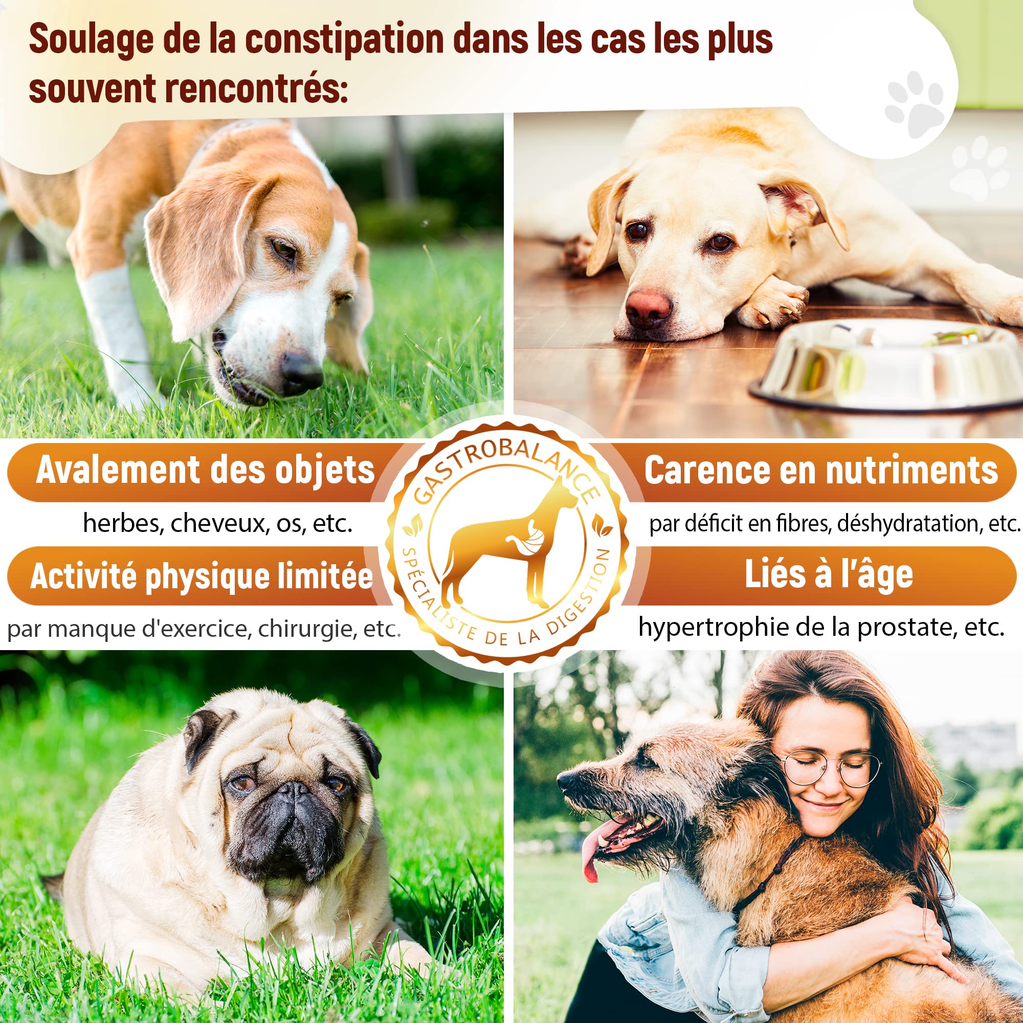 soulagement Constipation Chien - 60 croquettes laxatives adoucissant selles de Chiens - goût Bacon (Francais)