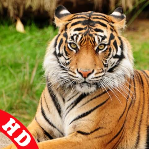 Презентация на тему "Жизнь под угрозой" - скачать бесплатно презентации по Биоло