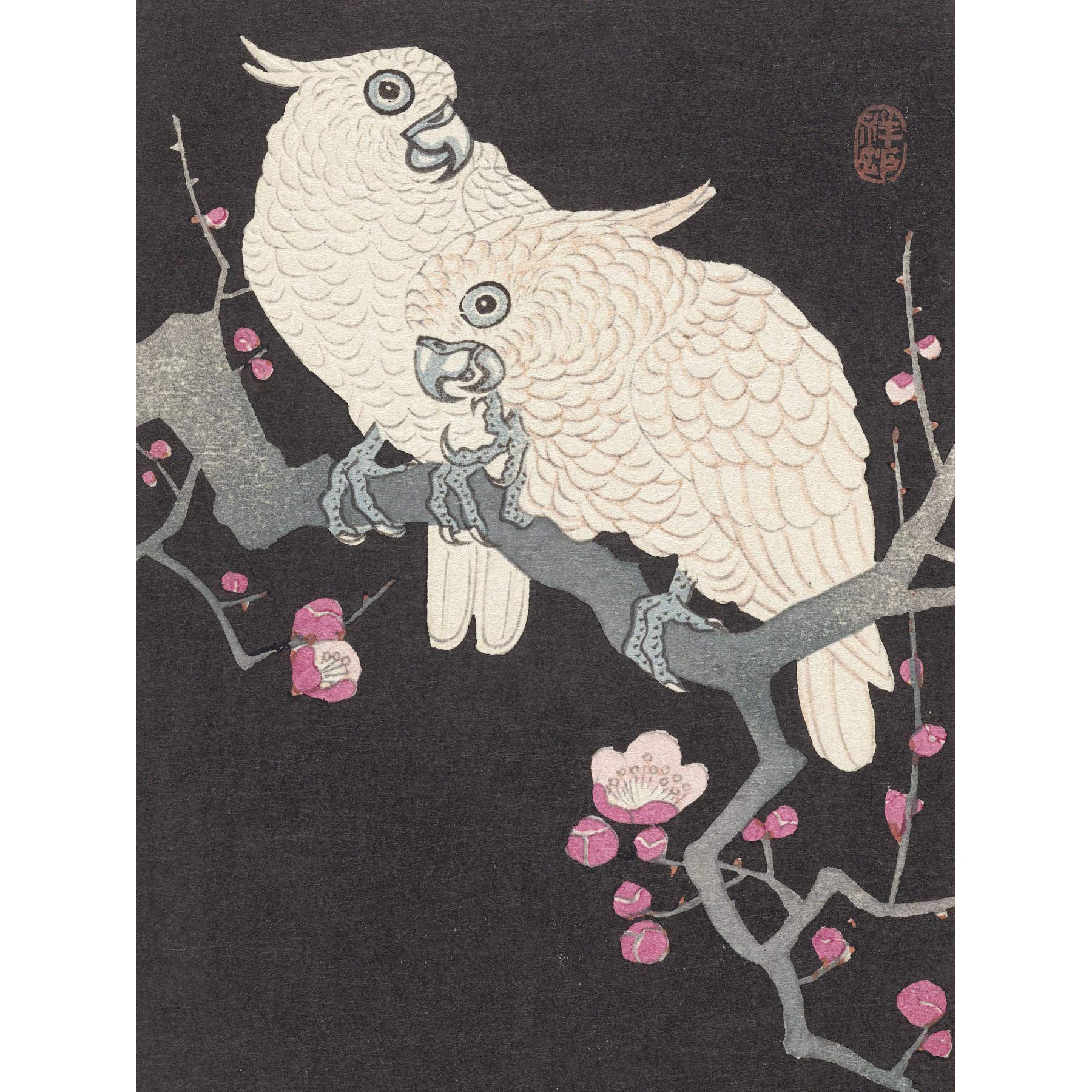 Artery8 Ohara Koson Two Cockatoo And Plum Blossom Painting Premium Wall Art Canvas Print 18X24 Inch